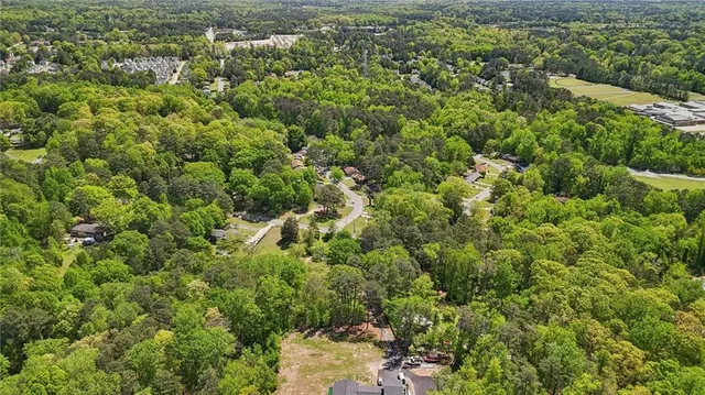 a view of a city with lush green forest