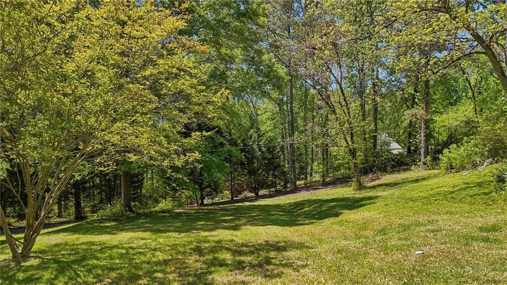 5735 Old Bill Cook Road Atlanta, GA 30349 - Photo 3 of 38 a view of a field with trees
