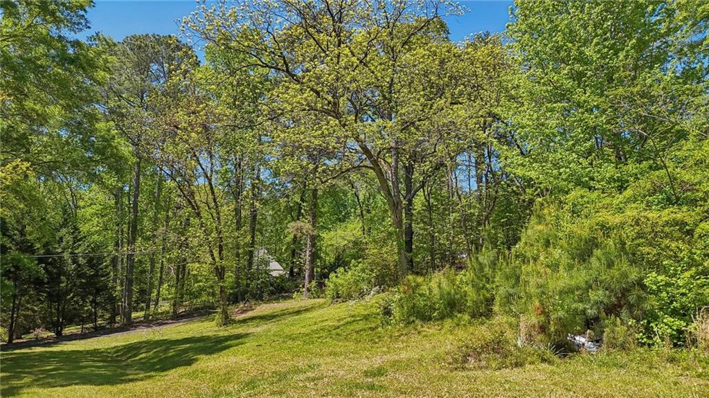 5735 Old Bill Cook Road Atlanta, GA 30349 - Photo 4 of 38 a view of backyard with green space