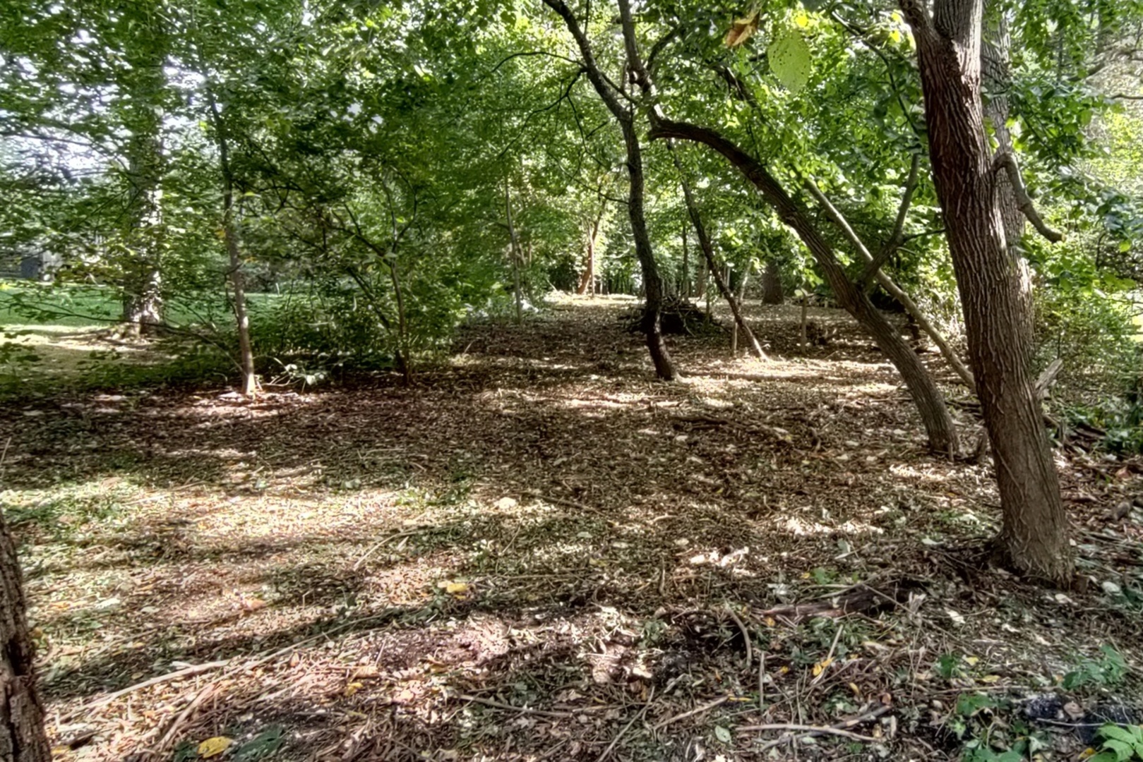 a view of outdoor space and trees