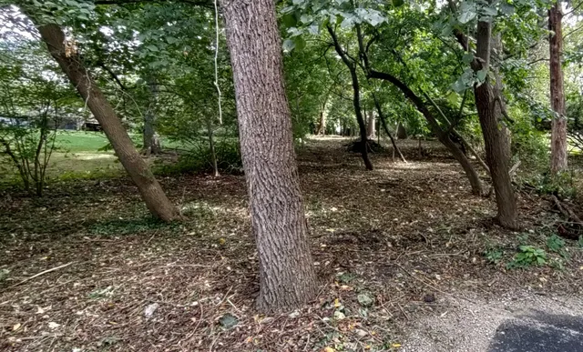 a view of outdoor space and tree