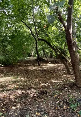 a view of outdoor space and yard