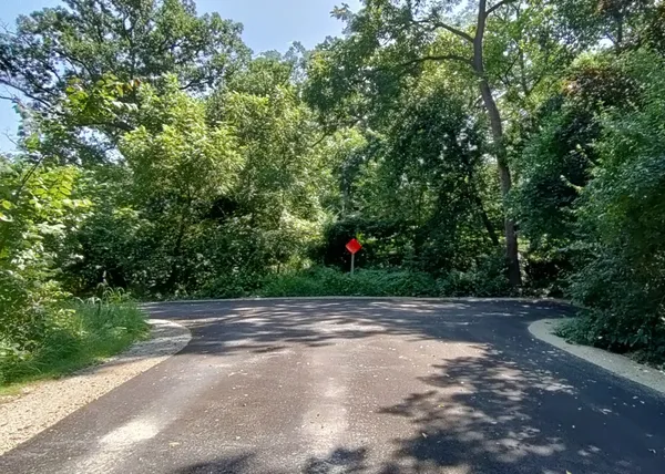 a view of a out door space area and trees