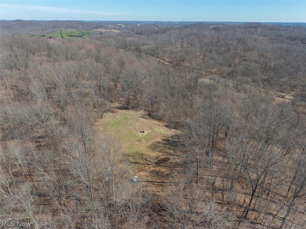 0 Clem Garvin Road Caldwell, OH 43724 - Photo 6 of 50 Drone / aerial view of a heavily wooded area