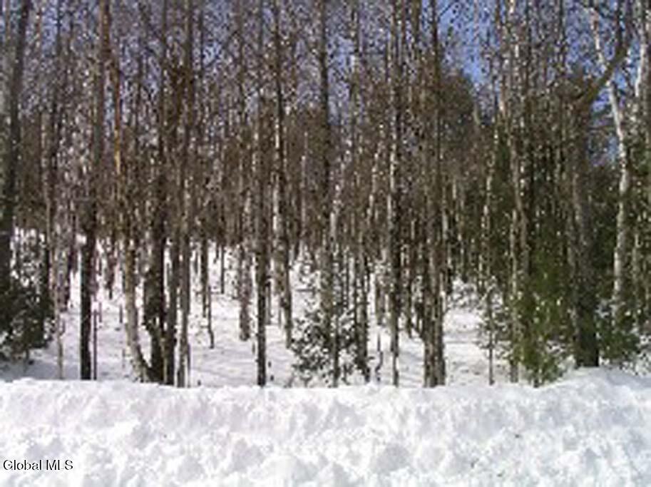 132 River Road North Creek, NY 12853 - Photo 1 of 2 Road view