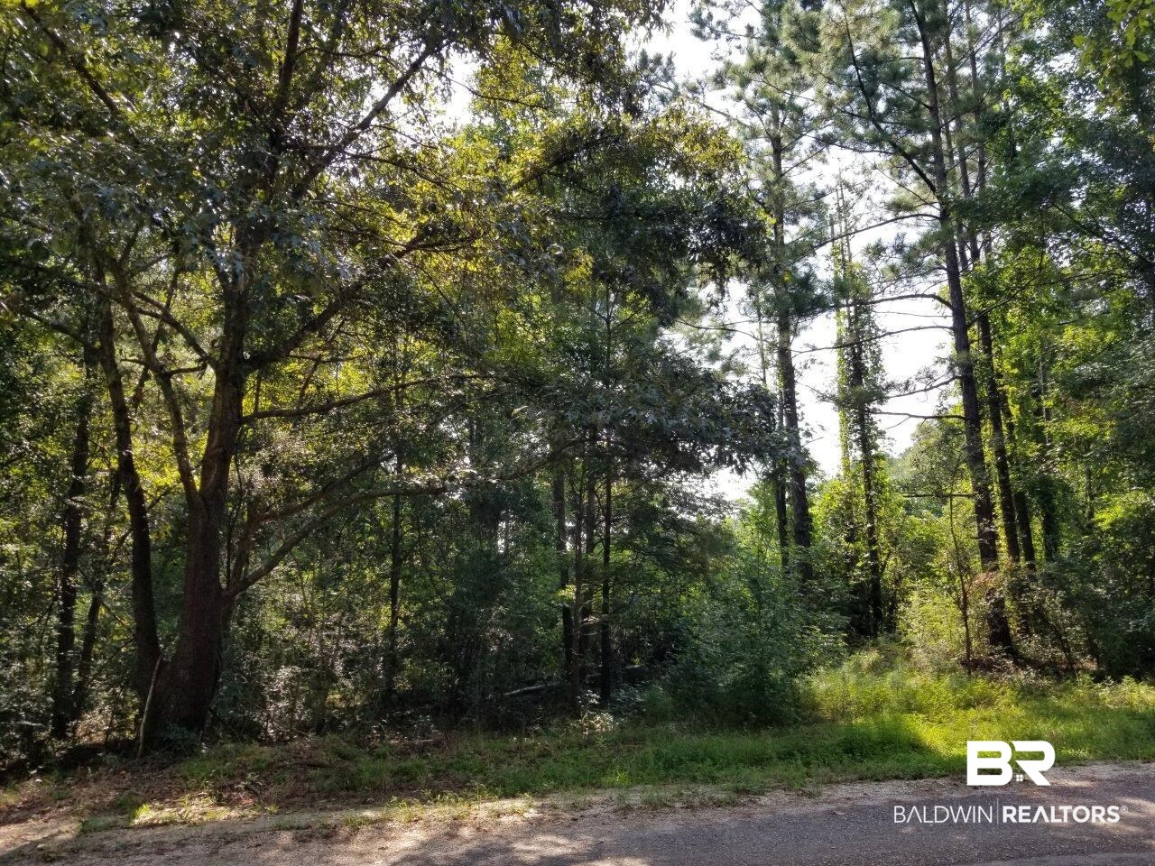 0 Jerkins Loop Atmore, AL 36502 - Photo 17 of 50