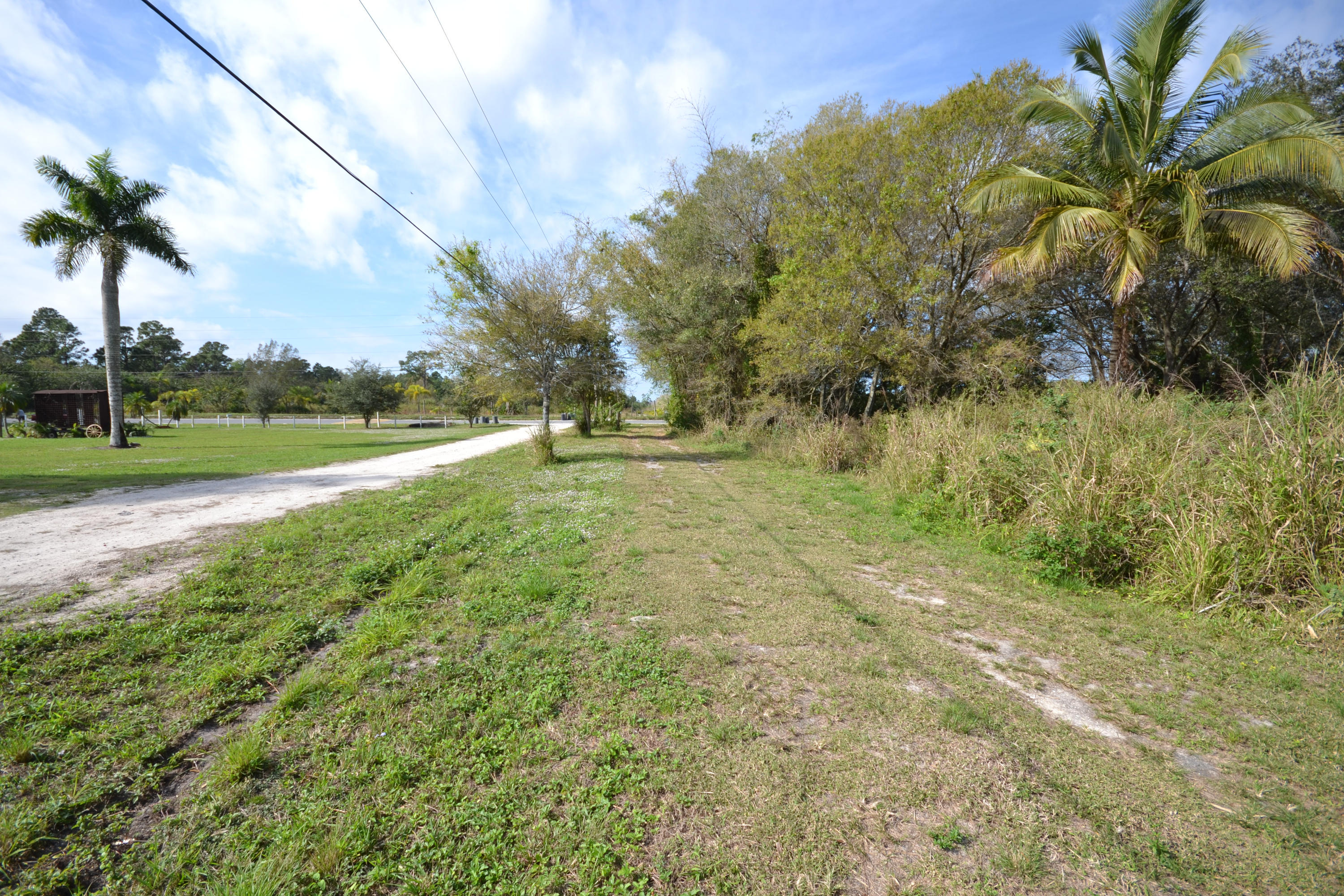 3320 C Road Loxahatchee, FL 33470 - Photo 11 of 15 a view of outdoor space with trees all around