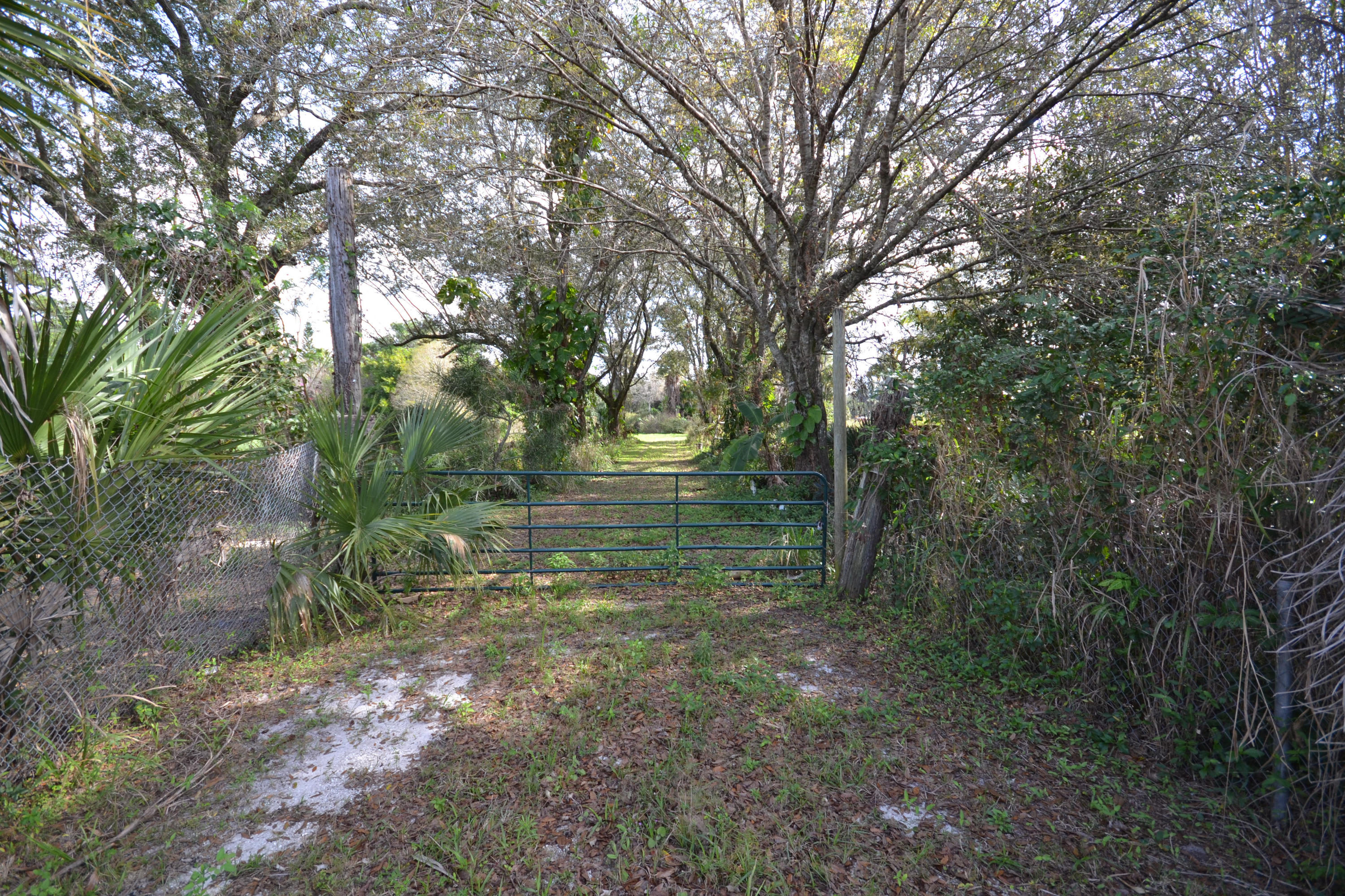 3320 C Road Loxahatchee, FL 33470 - Photo 3 of 15 a view of a forest with trees