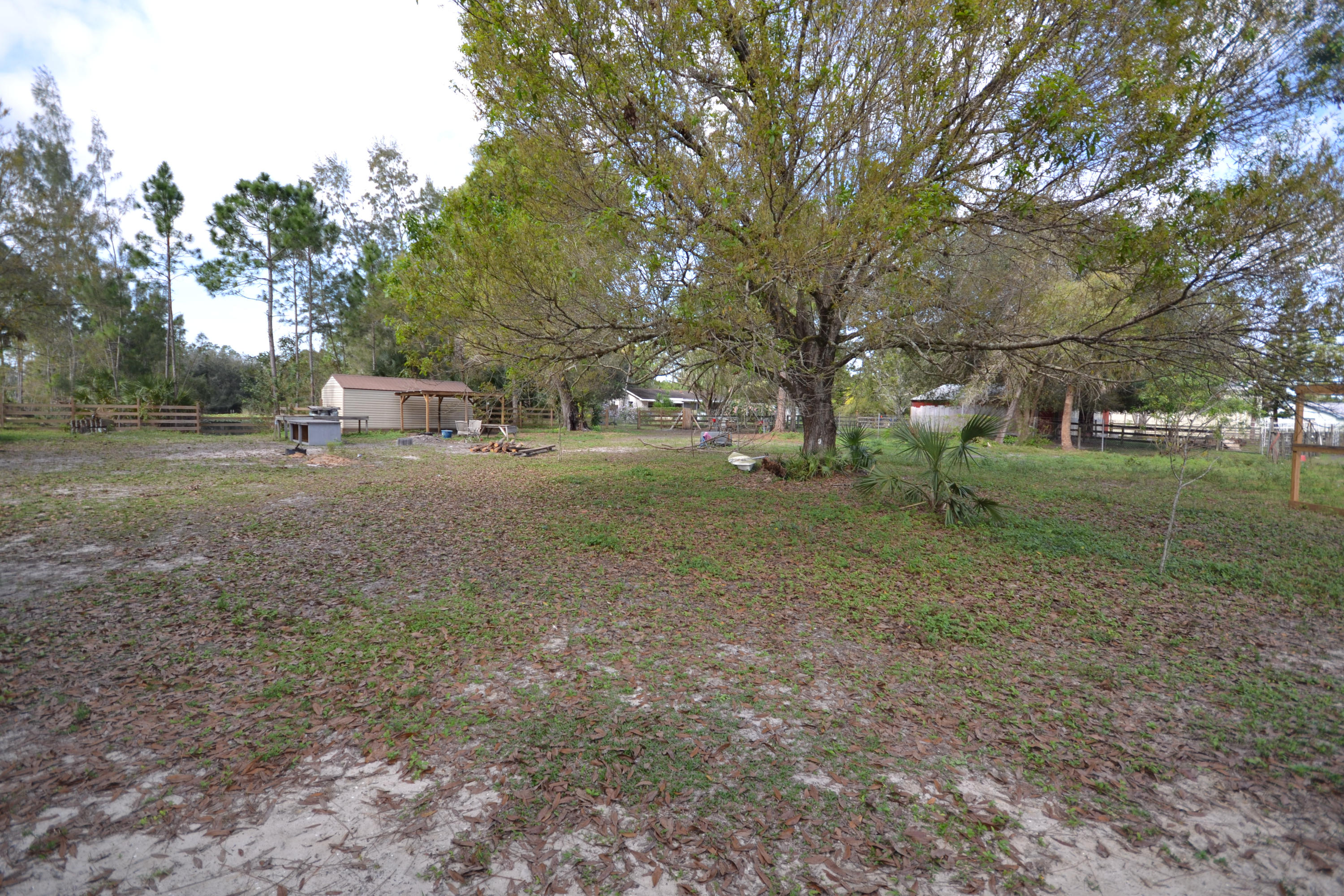 3320 C Road Loxahatchee, FL 33470 - Photo 5 of 15 a view of a yard with tree s