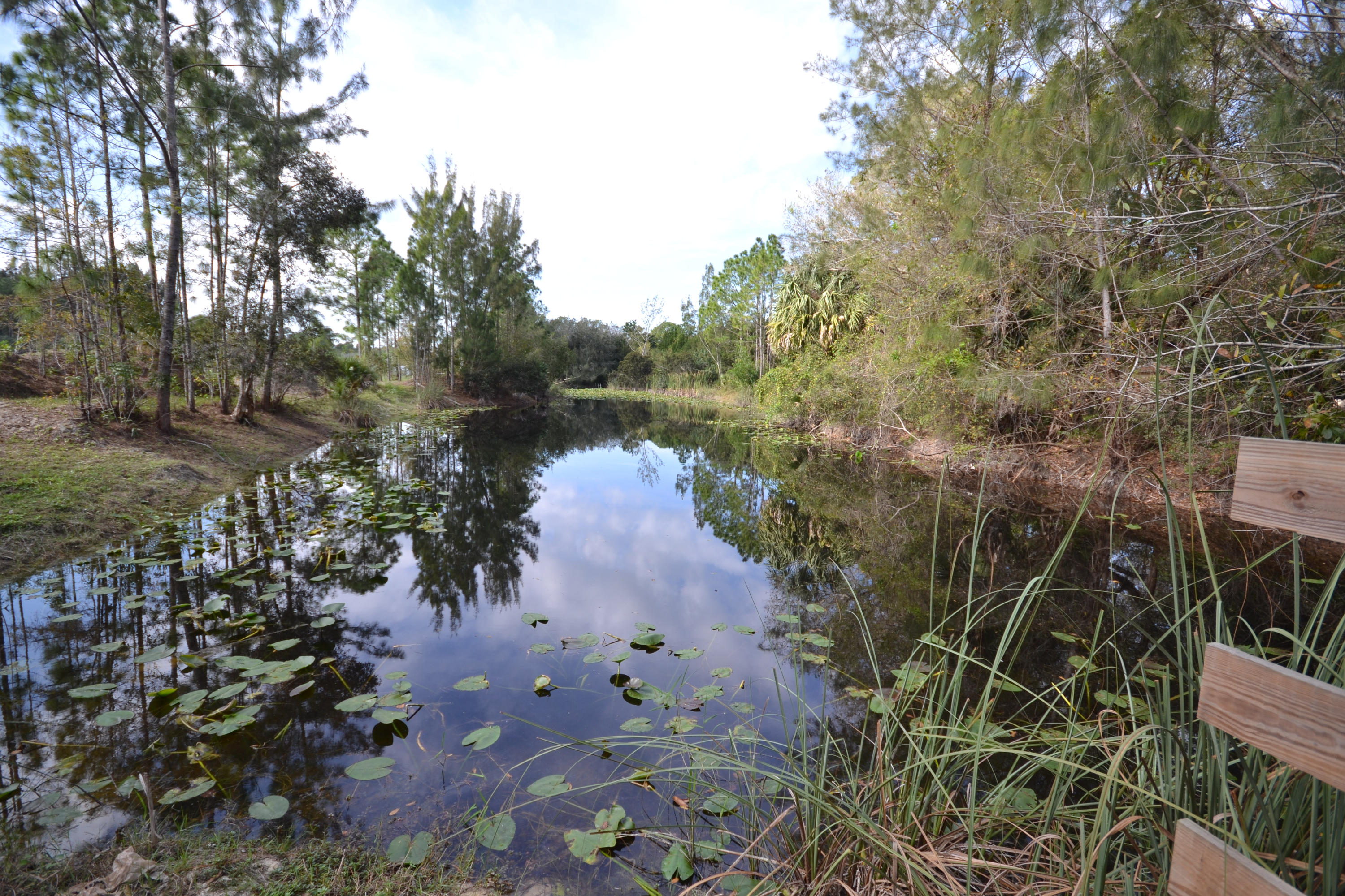 3320 C Road Loxahatchee, FL 33470 - Photo 6 of 15 a view of a lake with large trees