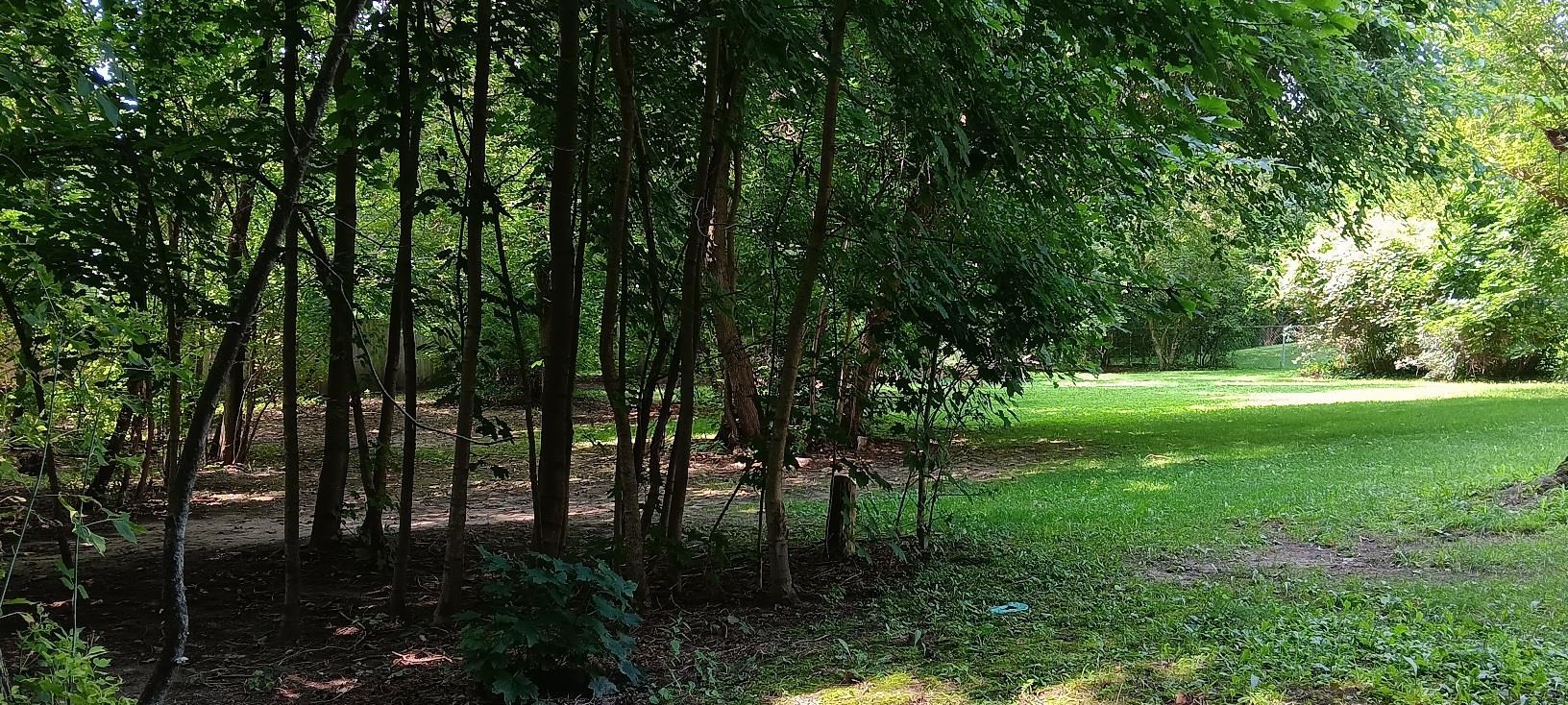 9441 Coldwater Road Flushing, MI 48433 - Photo 46 of 54 50149690-60aaa8f3-19c8-4378-b823-ebac4ac1d792.JPG