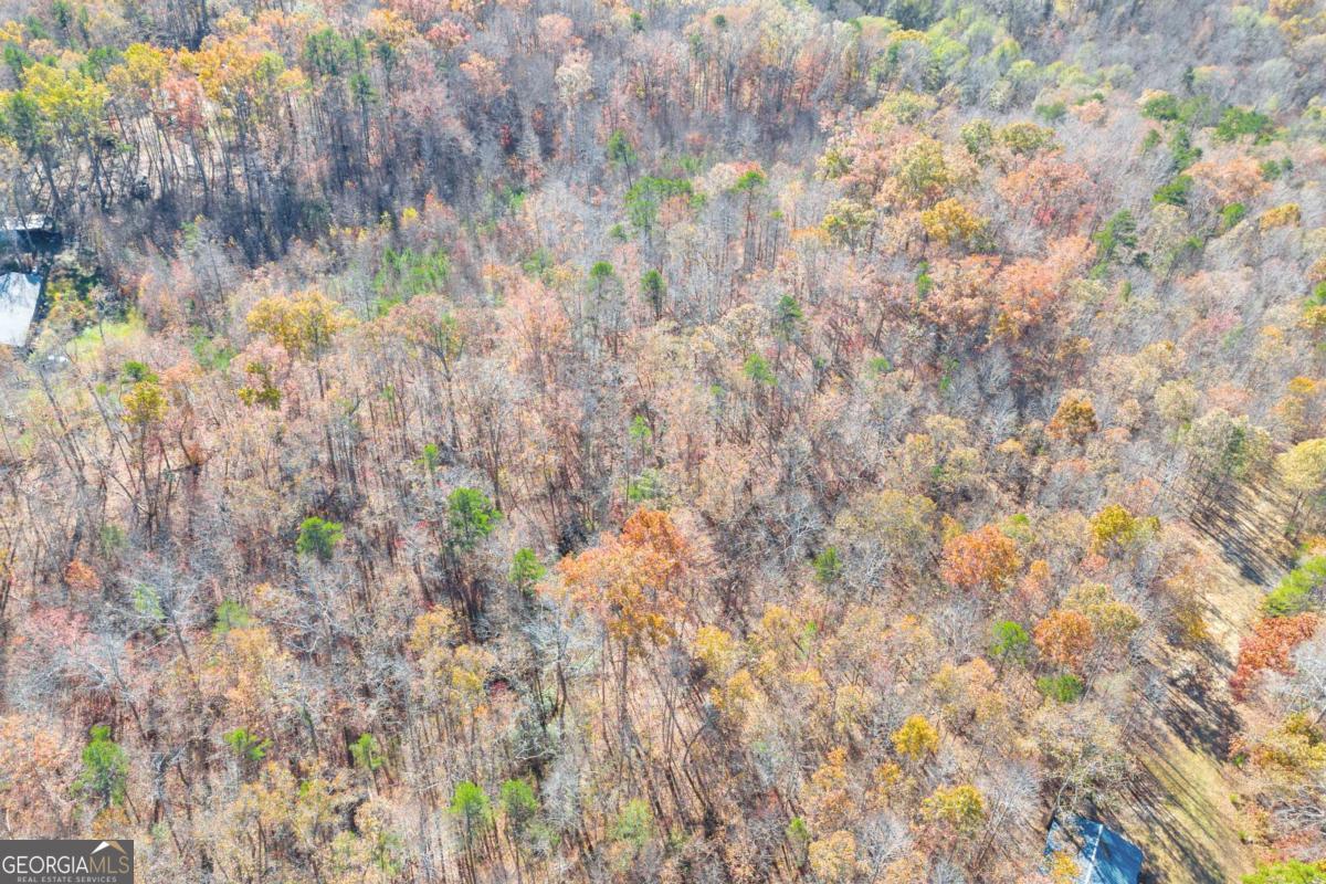 Lot 12 North Hicks Road Toccoa, GA 30577 - Photo 13 of 25