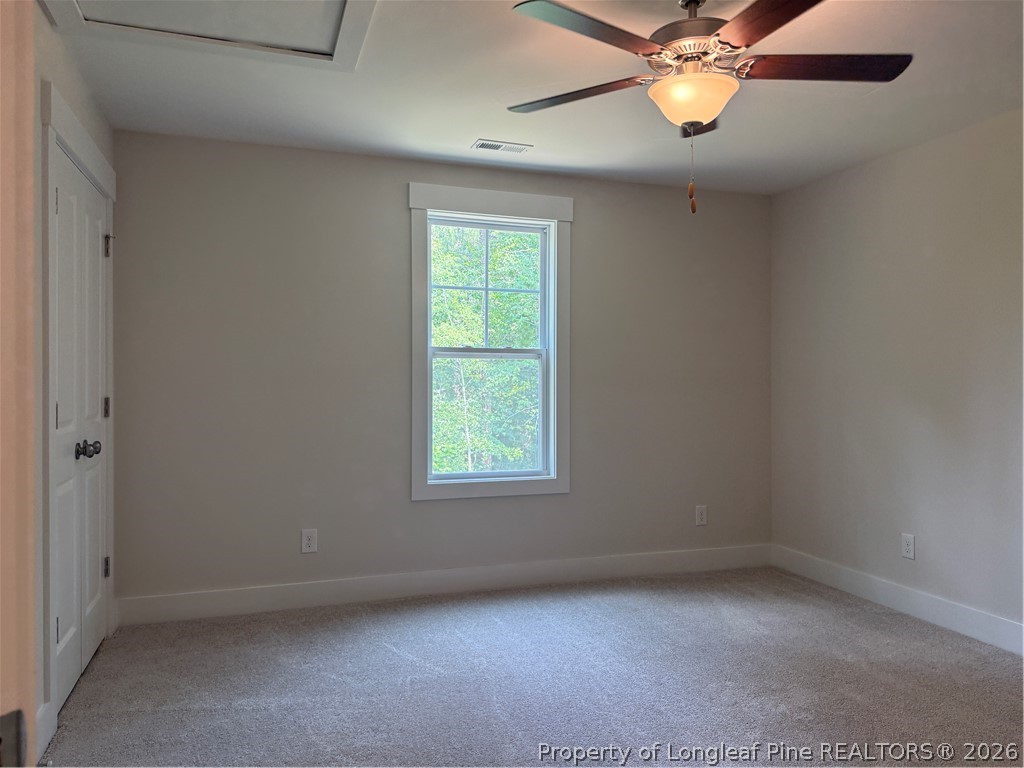 505 Chason Road Lumber Bridge, NC 28357 - Photo 19 of 29