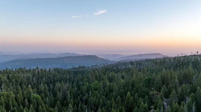 a view of a city with lush green forest