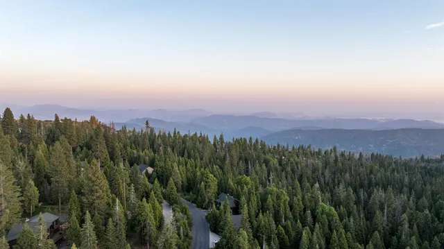 a view of a city with lush green forest