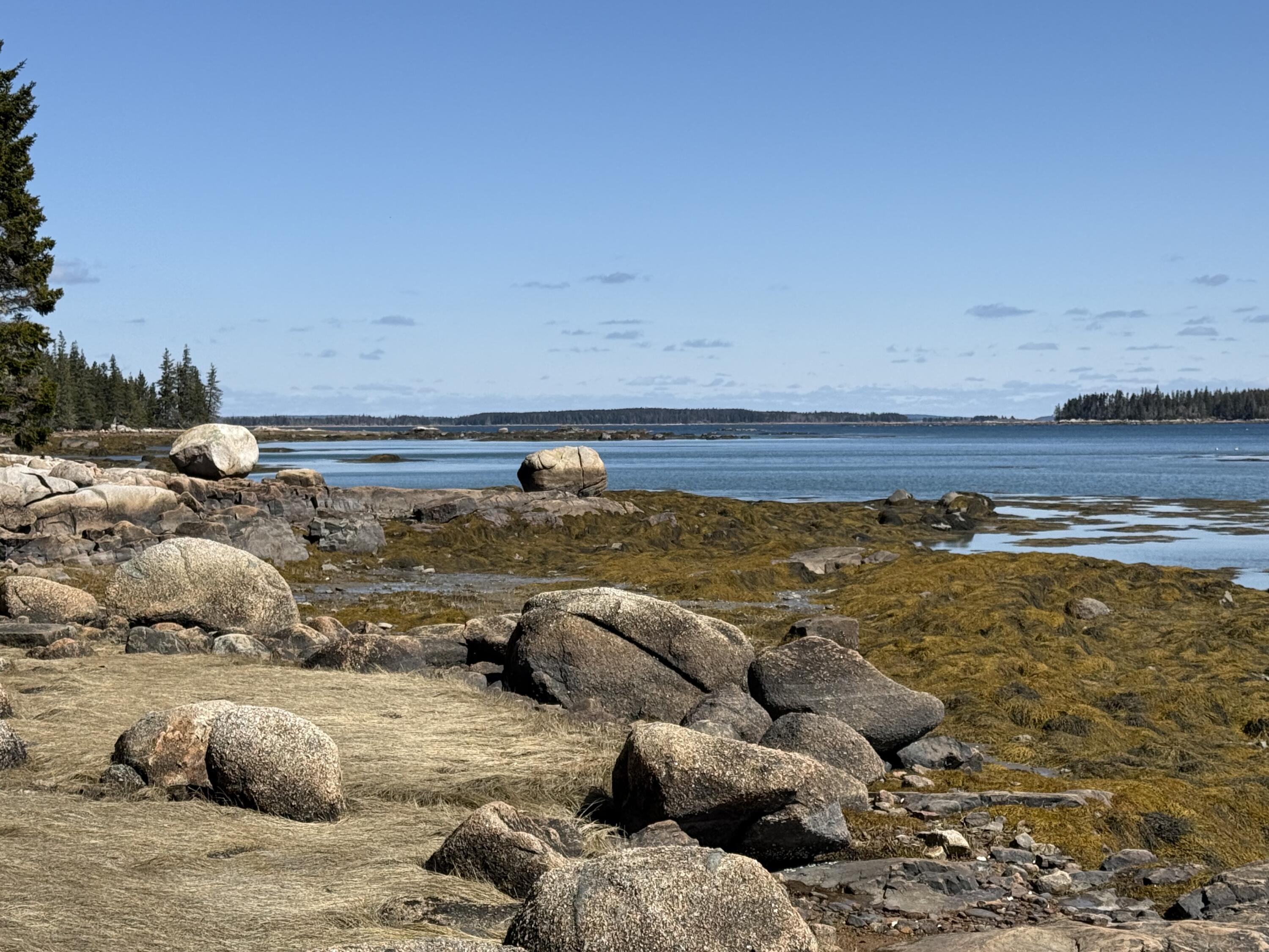 18 Jericho Bay Road Swans Island, ME 04685 - Photo 2 of 36