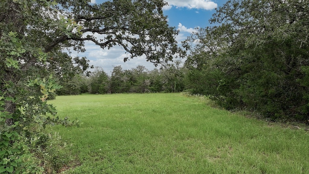 2625 Burke Road Flatonia, TX 78941 - Photo 6 of 19