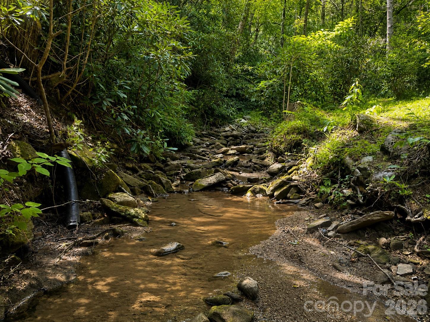 664 Paxton Creek Road Marion, NC 28752 - Photo 26 of 47