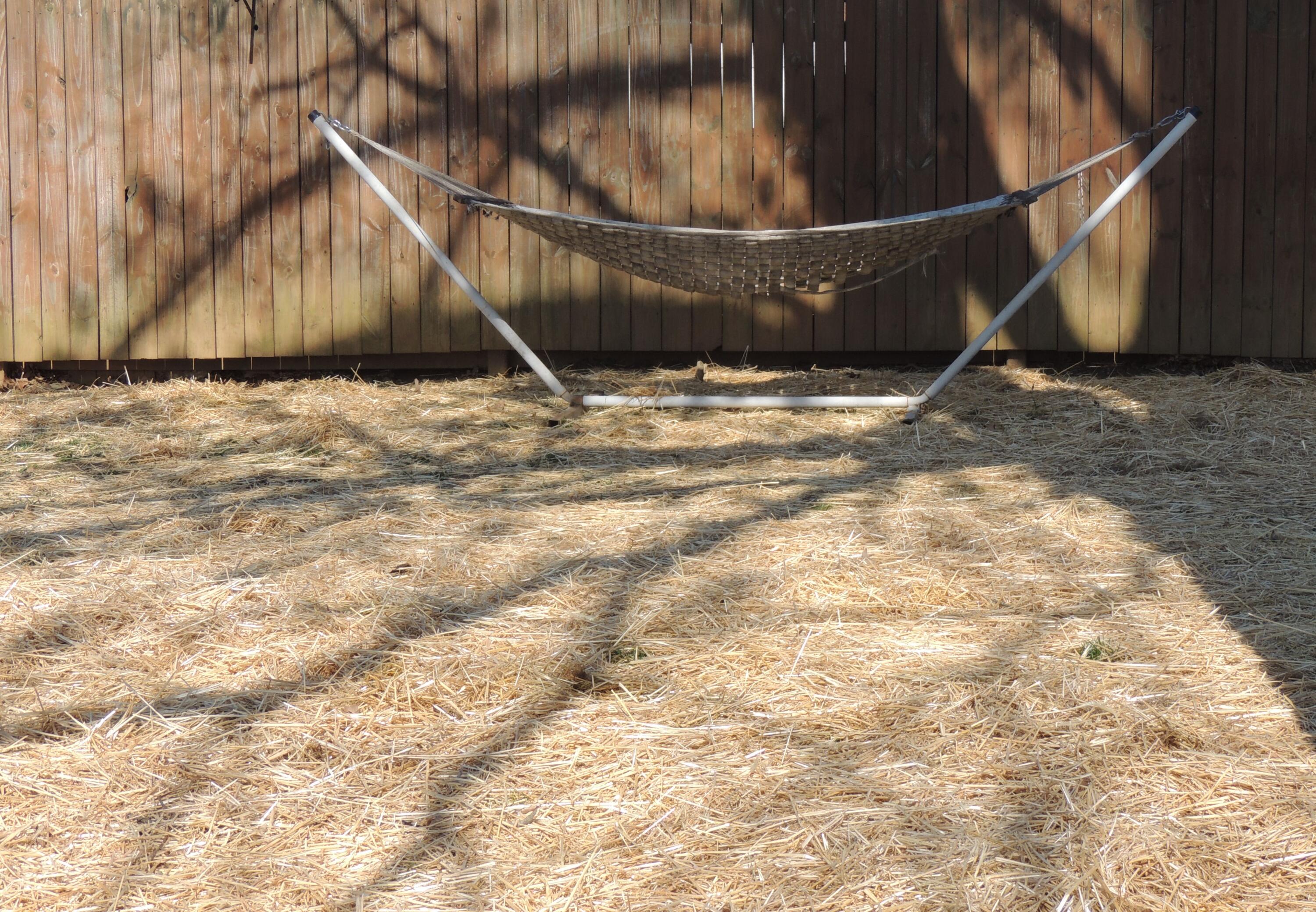 514 Kickapoo Trail Frankfort, KY 40601 - Photo 24 of 25 Hammock 2