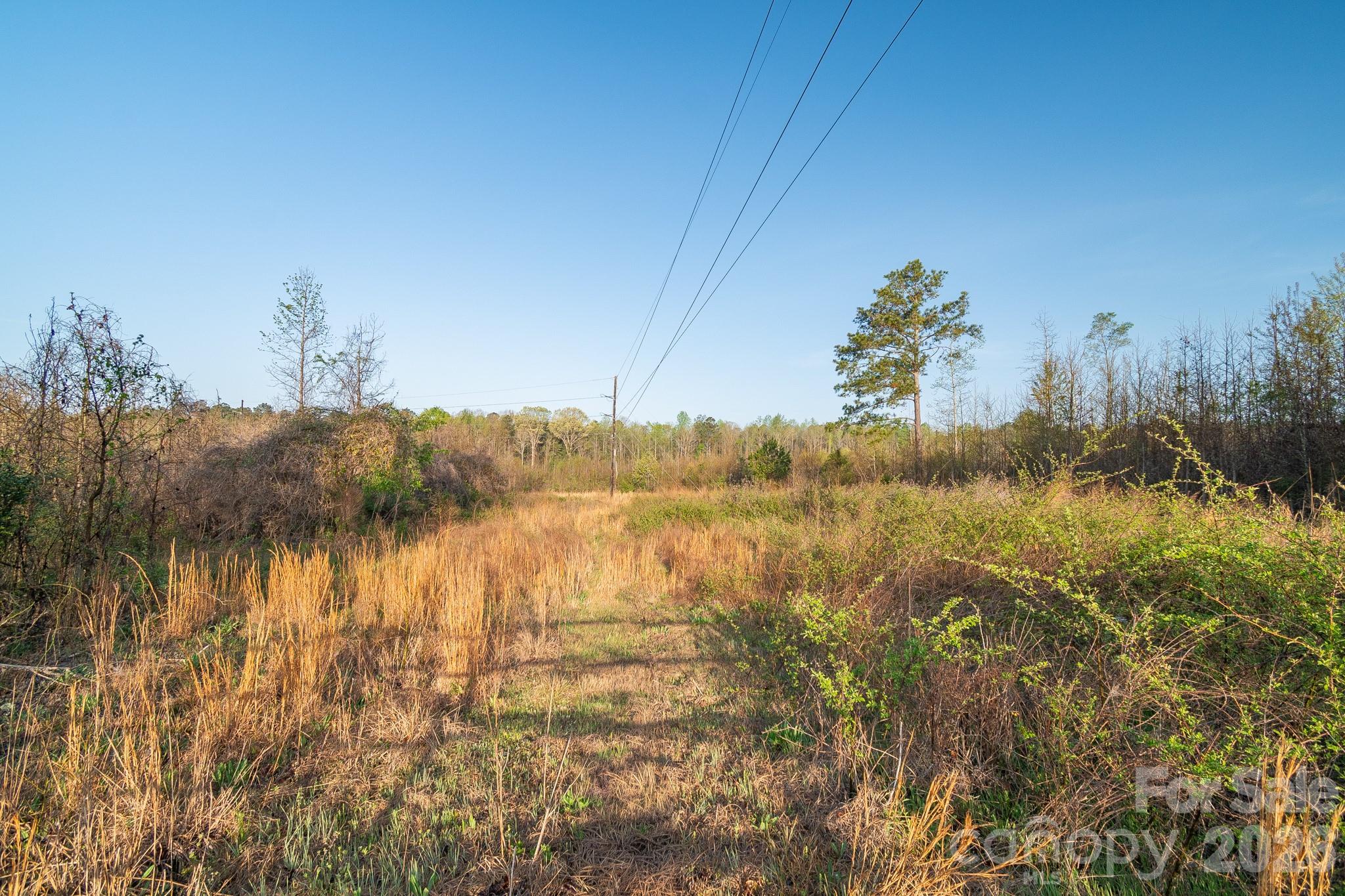 0 Sunrise Road Kershaw, SC 29067 - Photo 24 of 31 Gallery Image 24