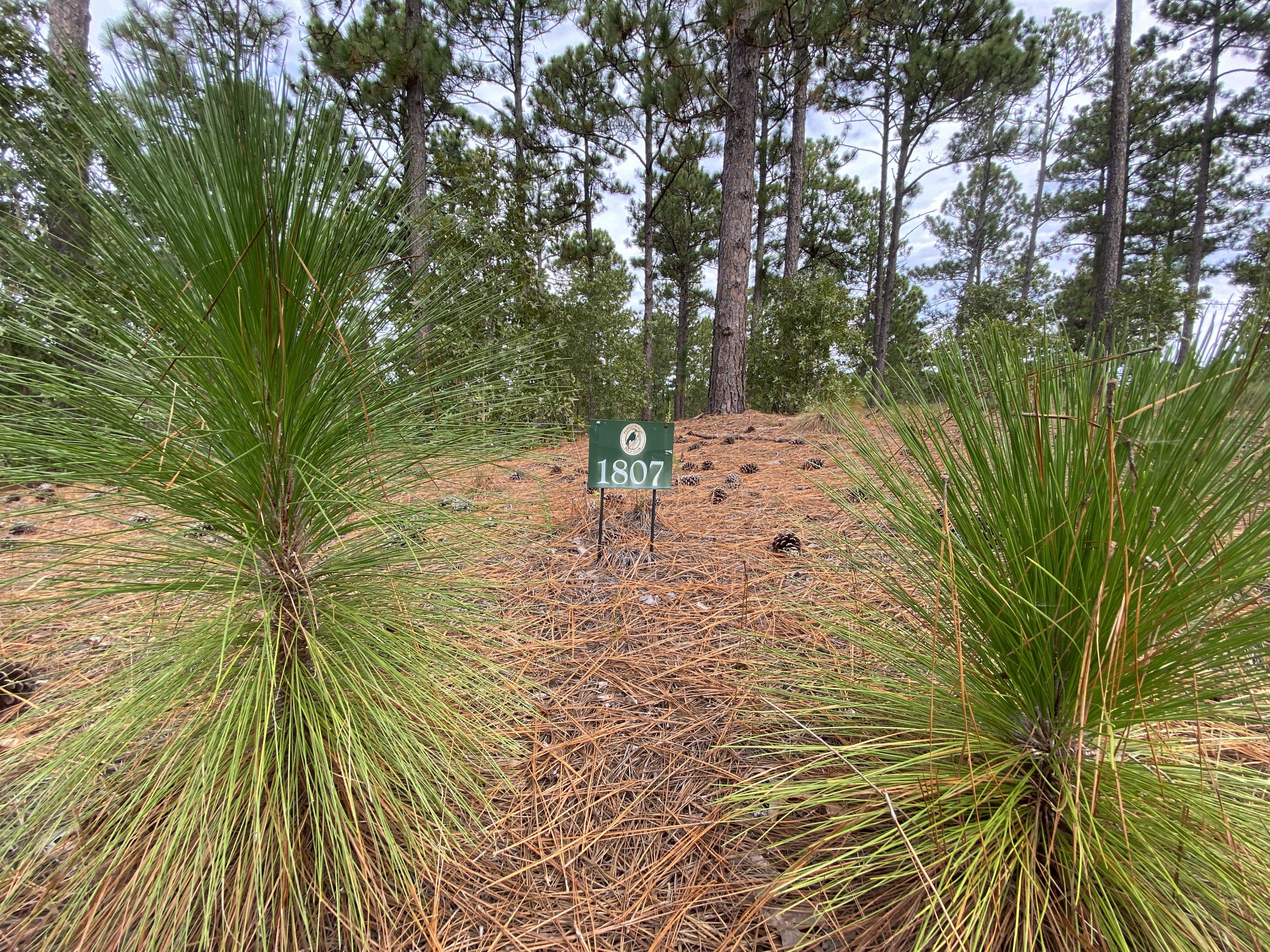 14 Ridgeland Street Pinehurst, NC 28374 - Photo 1 of 11 Lot #1807 Marker