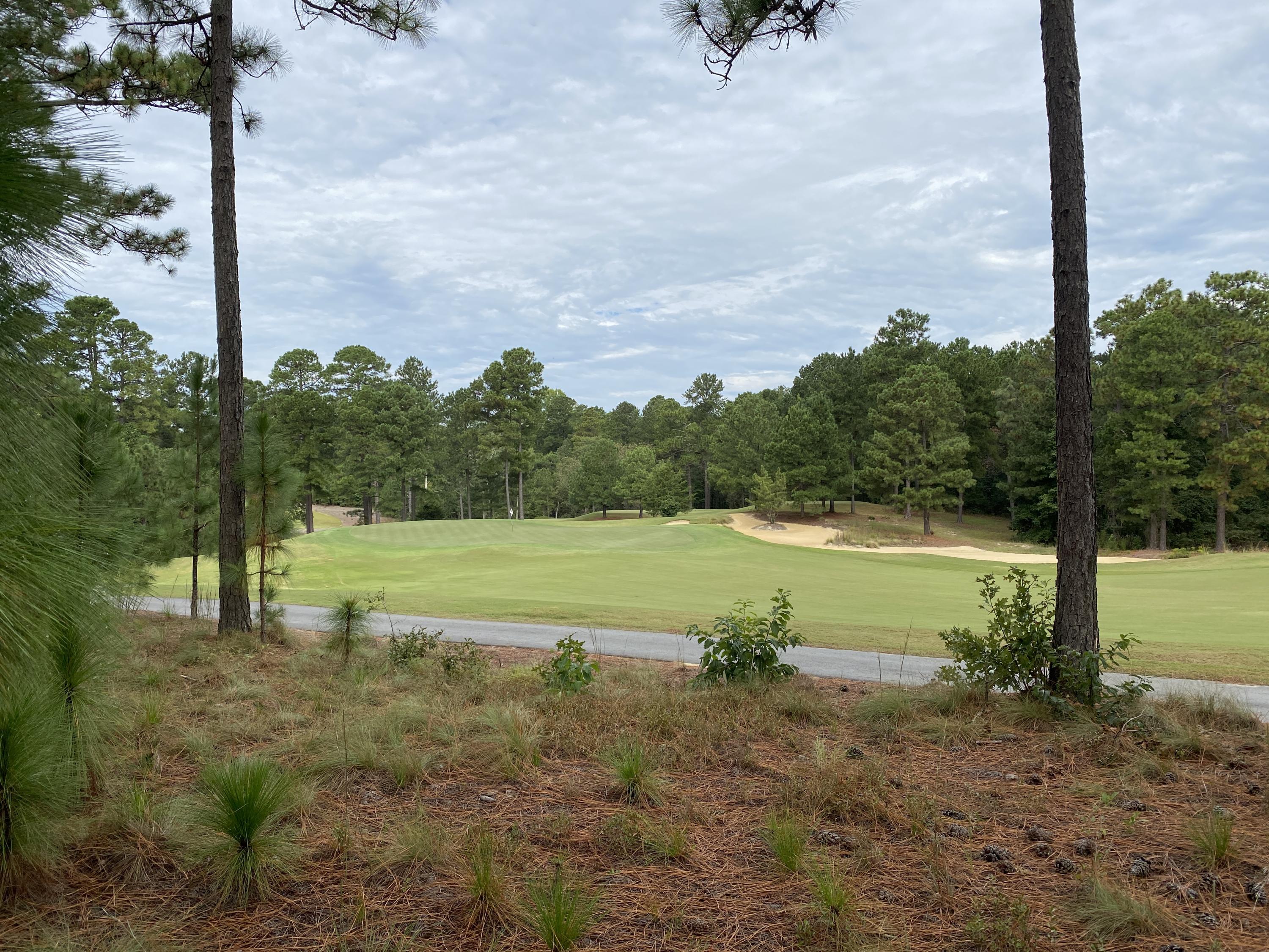14 Ridgeland Street Pinehurst, NC 28374 - Photo 7 of 11 #5 Green from Lot