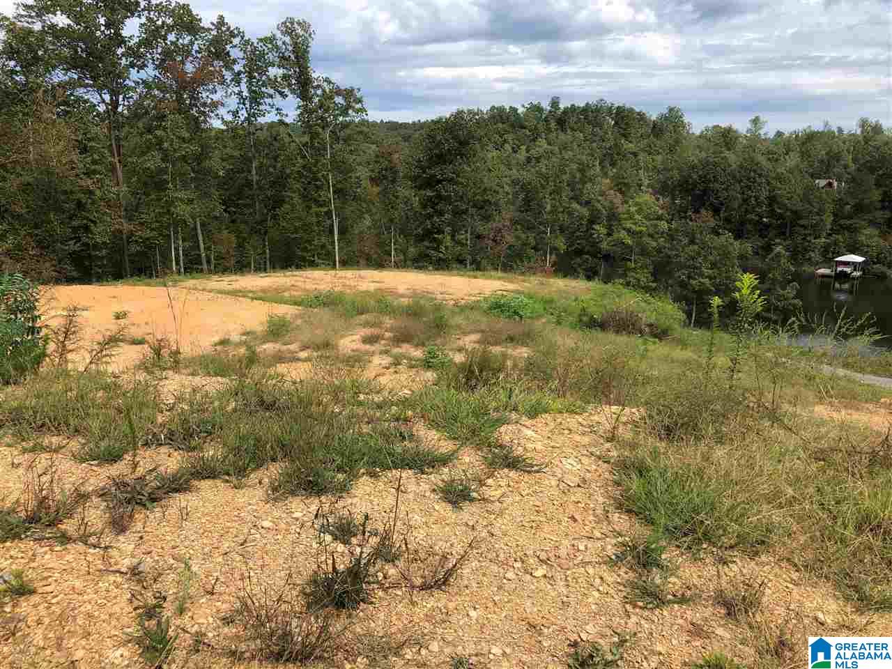 Echo Lane, Unit 9 Oneonta, AL 35121 - Photo 7 of 8 Gallery Image 7
