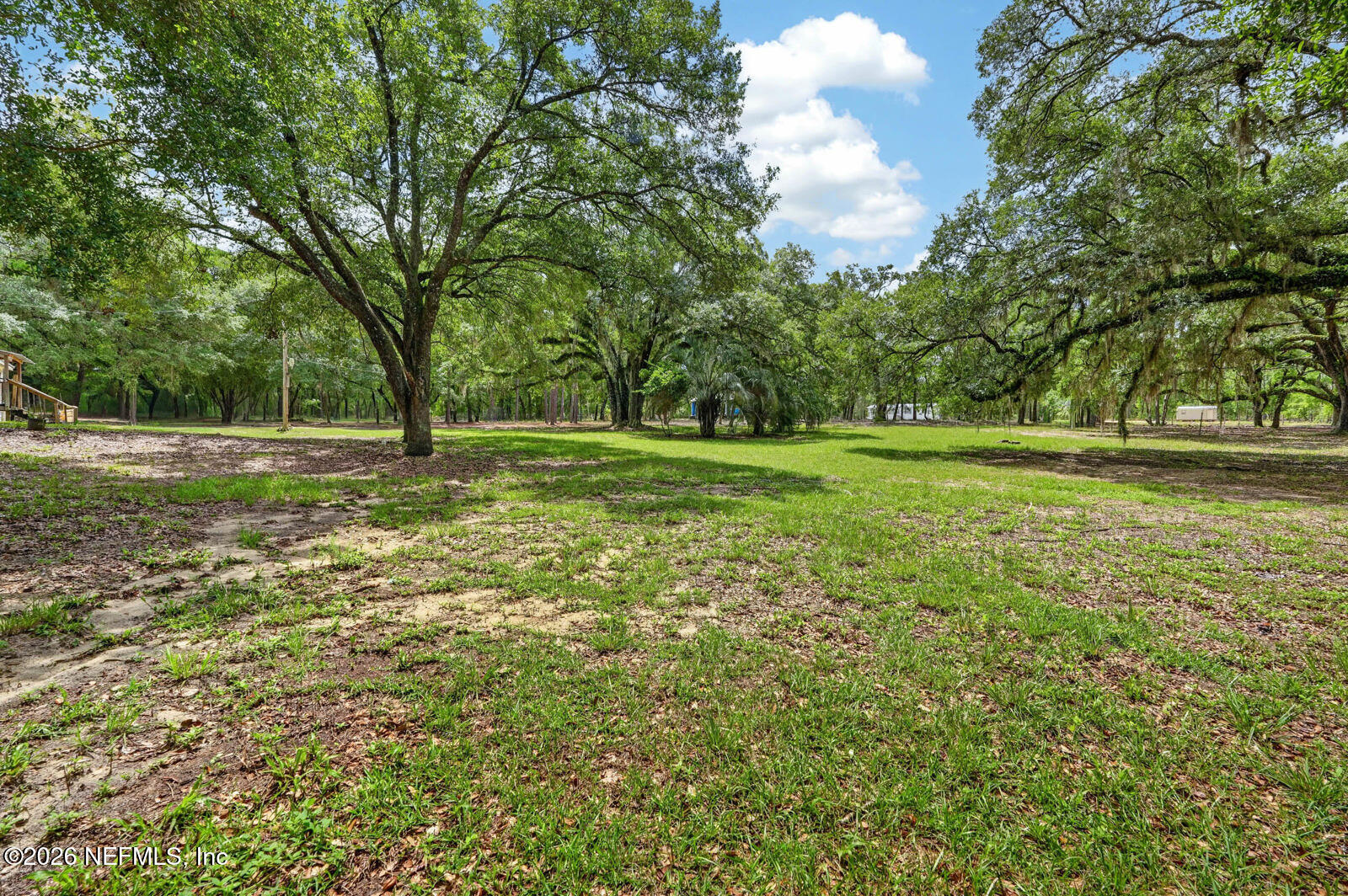 134 Windy Hills Road Hawthorne, FL 32640 - Photo 54 of 66 59_dsc09735