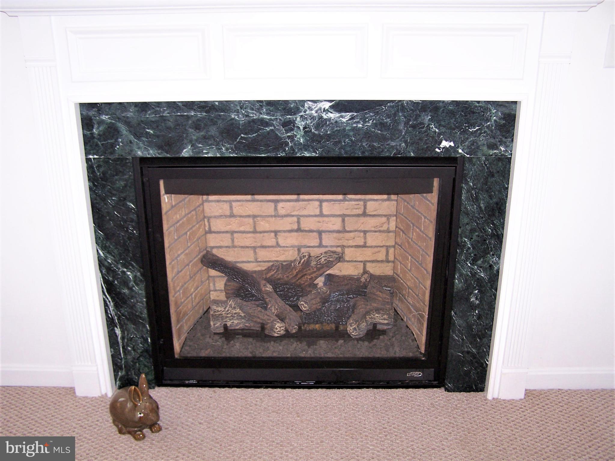 193 Clamshell Road Ocean City, MD 21842 - Photo 12 of 54 Gas Fireplace
