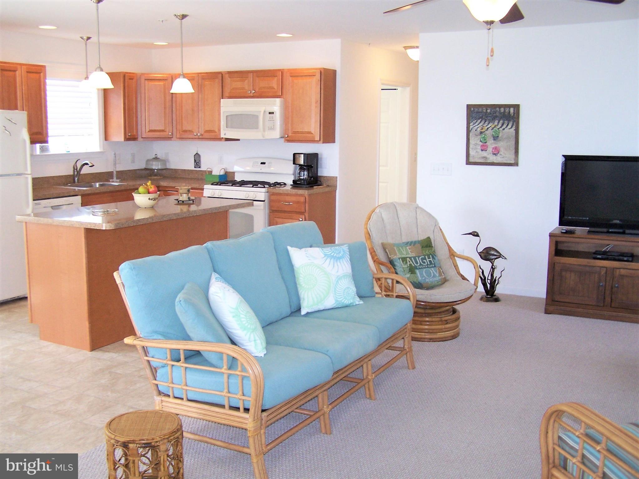 193 Clamshell Road Ocean City, MD 21842 - Photo 13 of 54 Living Area