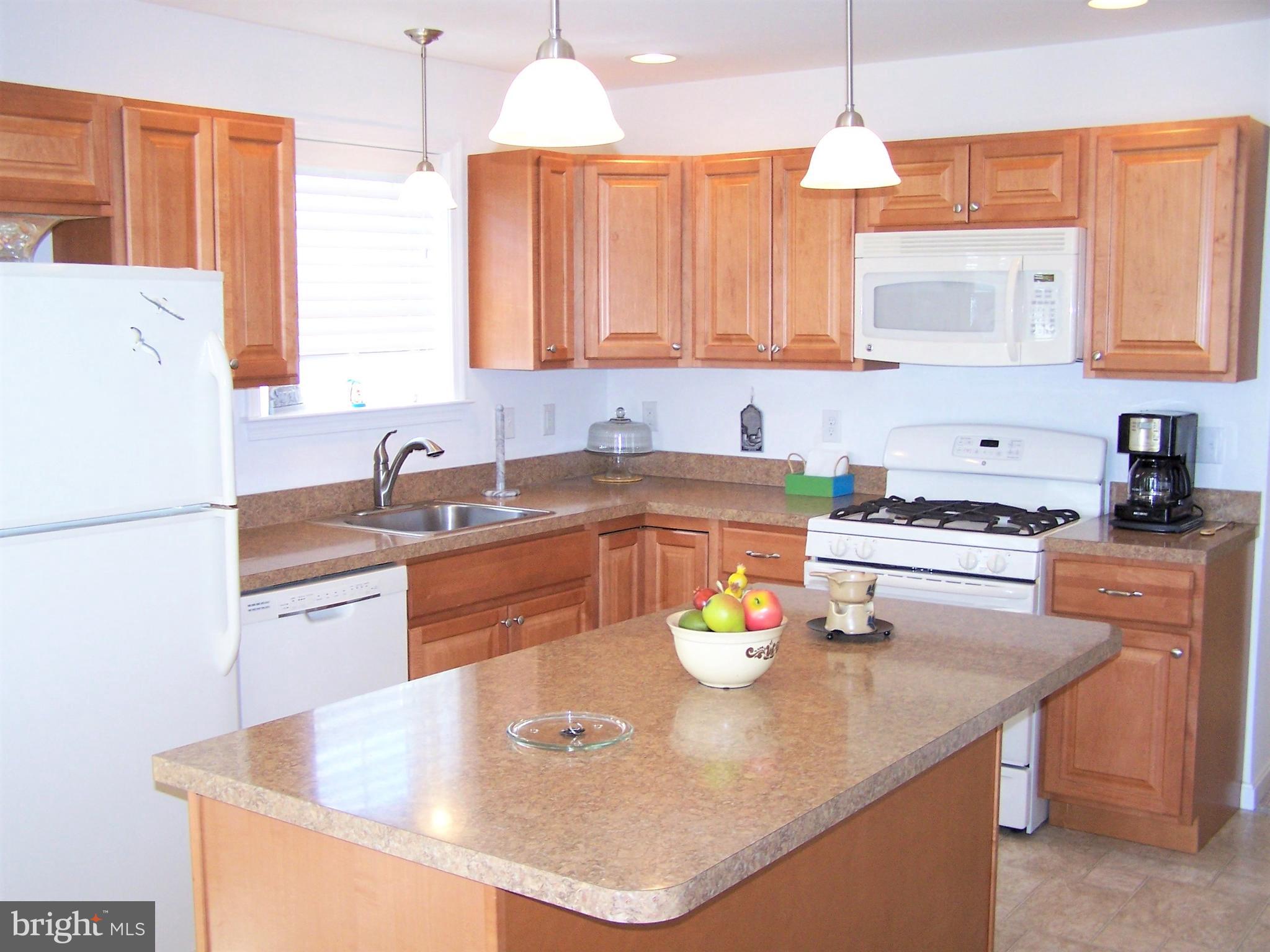 193 Clamshell Road Ocean City, MD 21842 - Photo 17 of 54 Spacious Kitchen