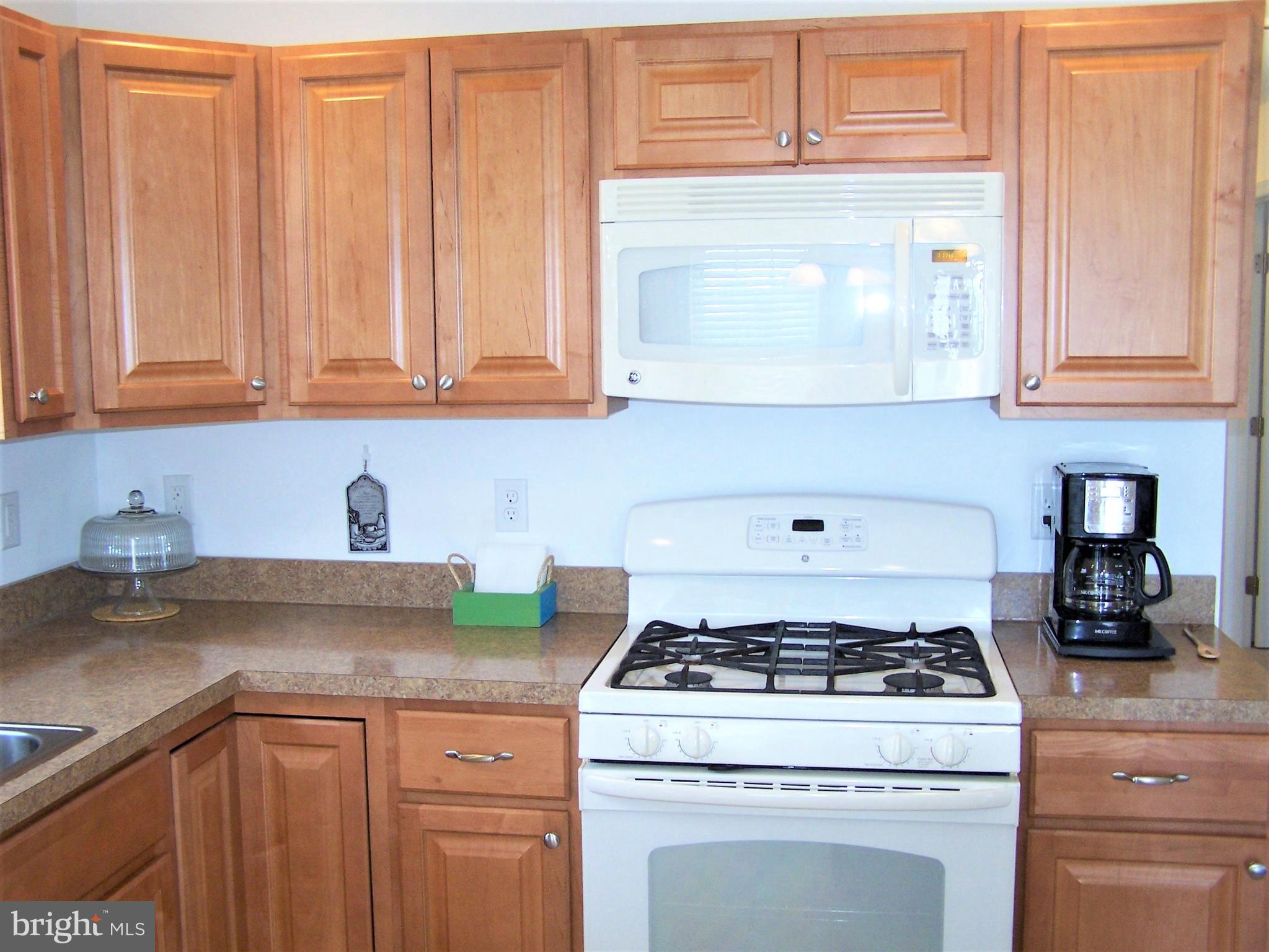 193 Clamshell Road Ocean City, MD 21842 - Photo 18 of 54 Gas Stove