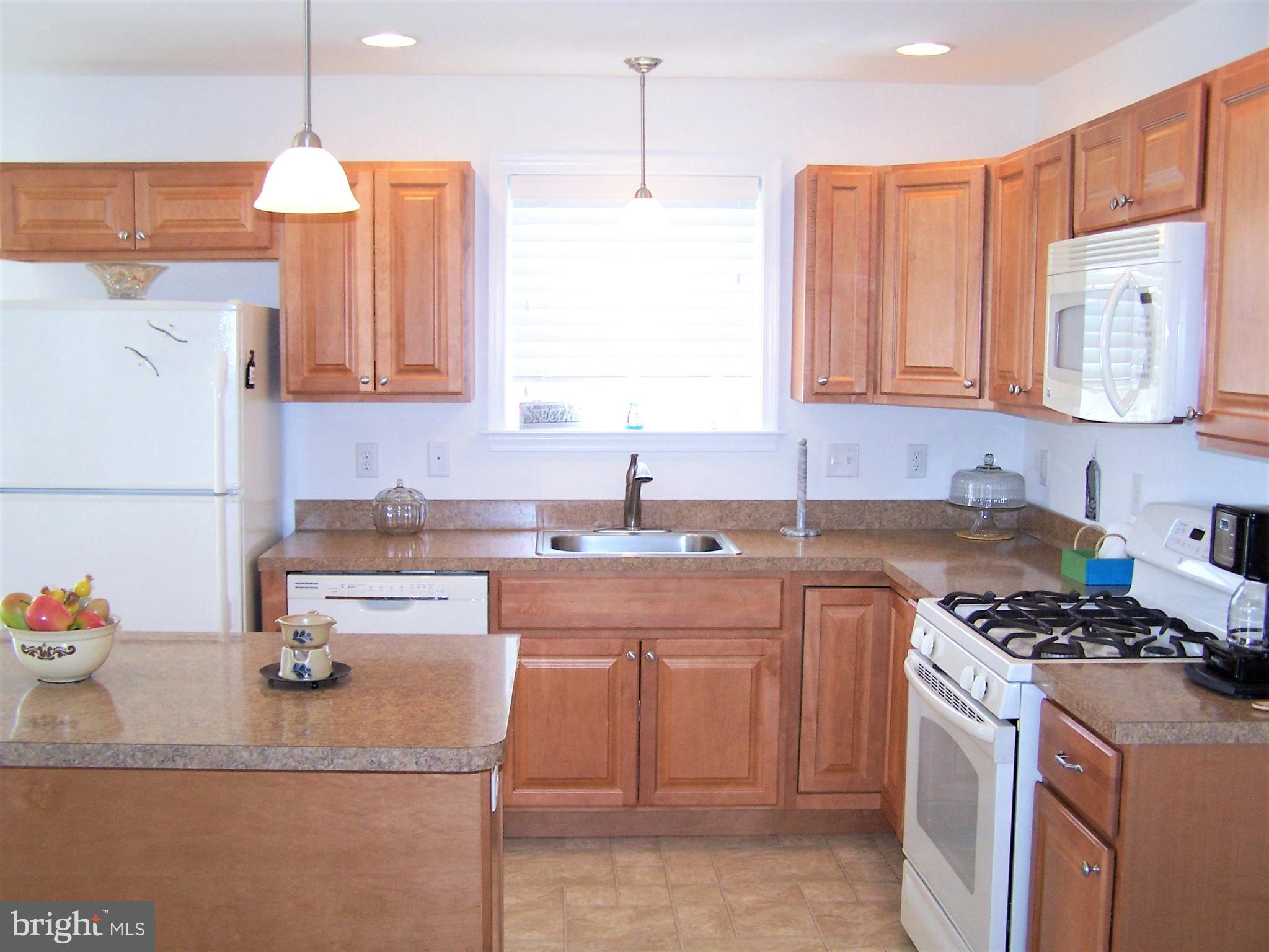 193 Clamshell Road Ocean City, MD 21842 - Photo 19 of 54 Lots of Cabinets