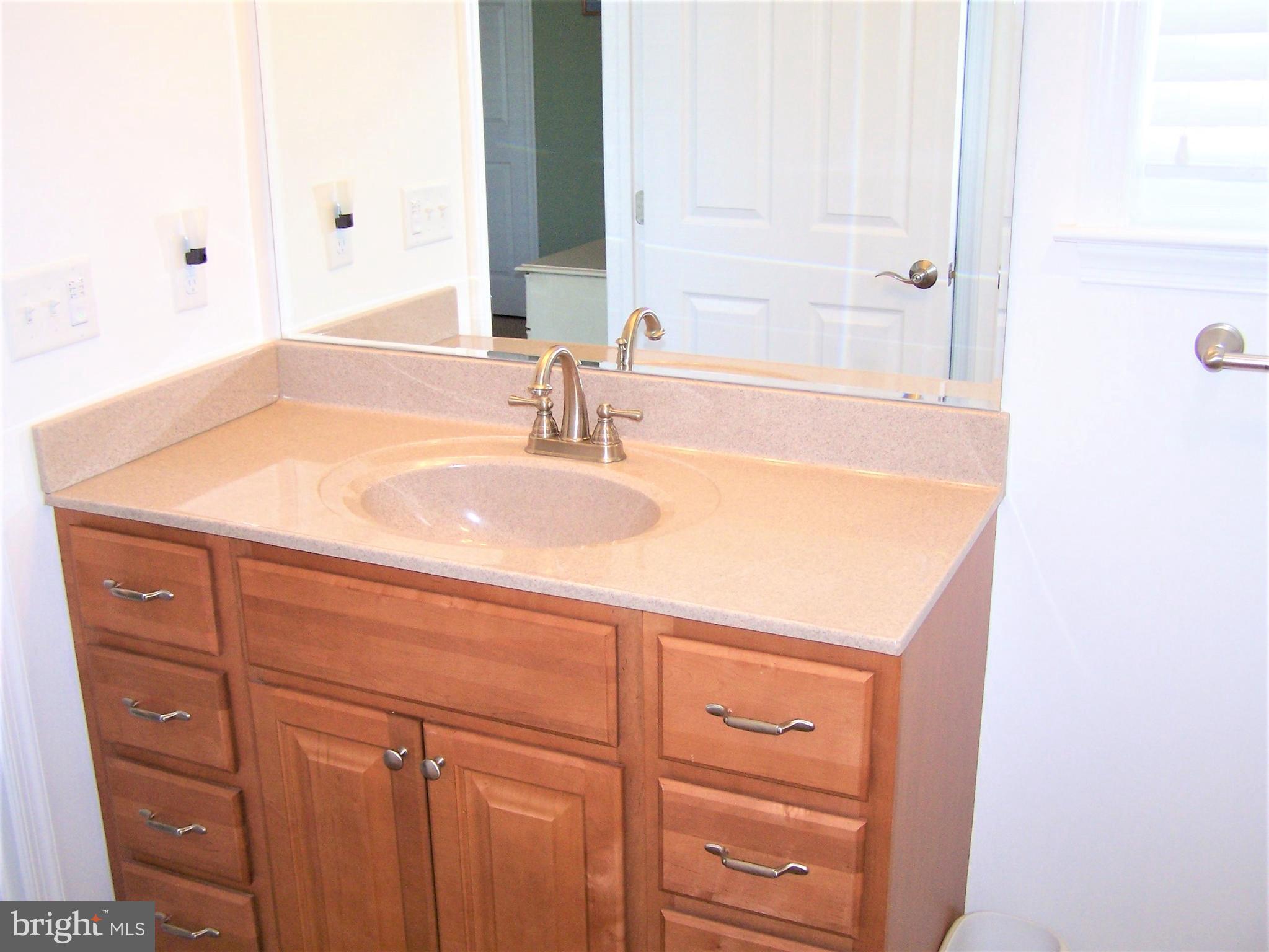 193 Clamshell Road Ocean City, MD 21842 - Photo 29 of 54 Master Bath Vanity