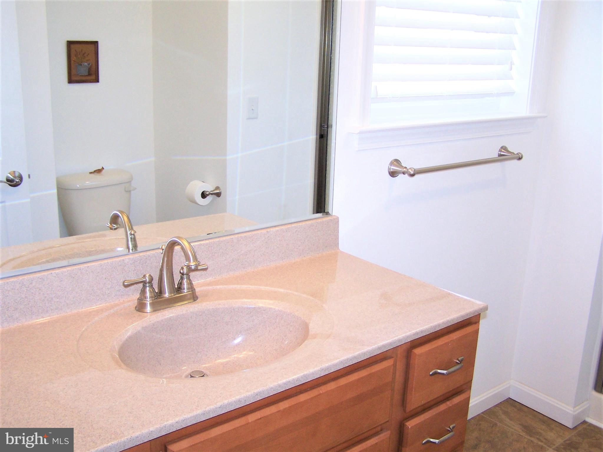 193 Clamshell Road Ocean City, MD 21842 - Photo 30 of 54 Master Bath