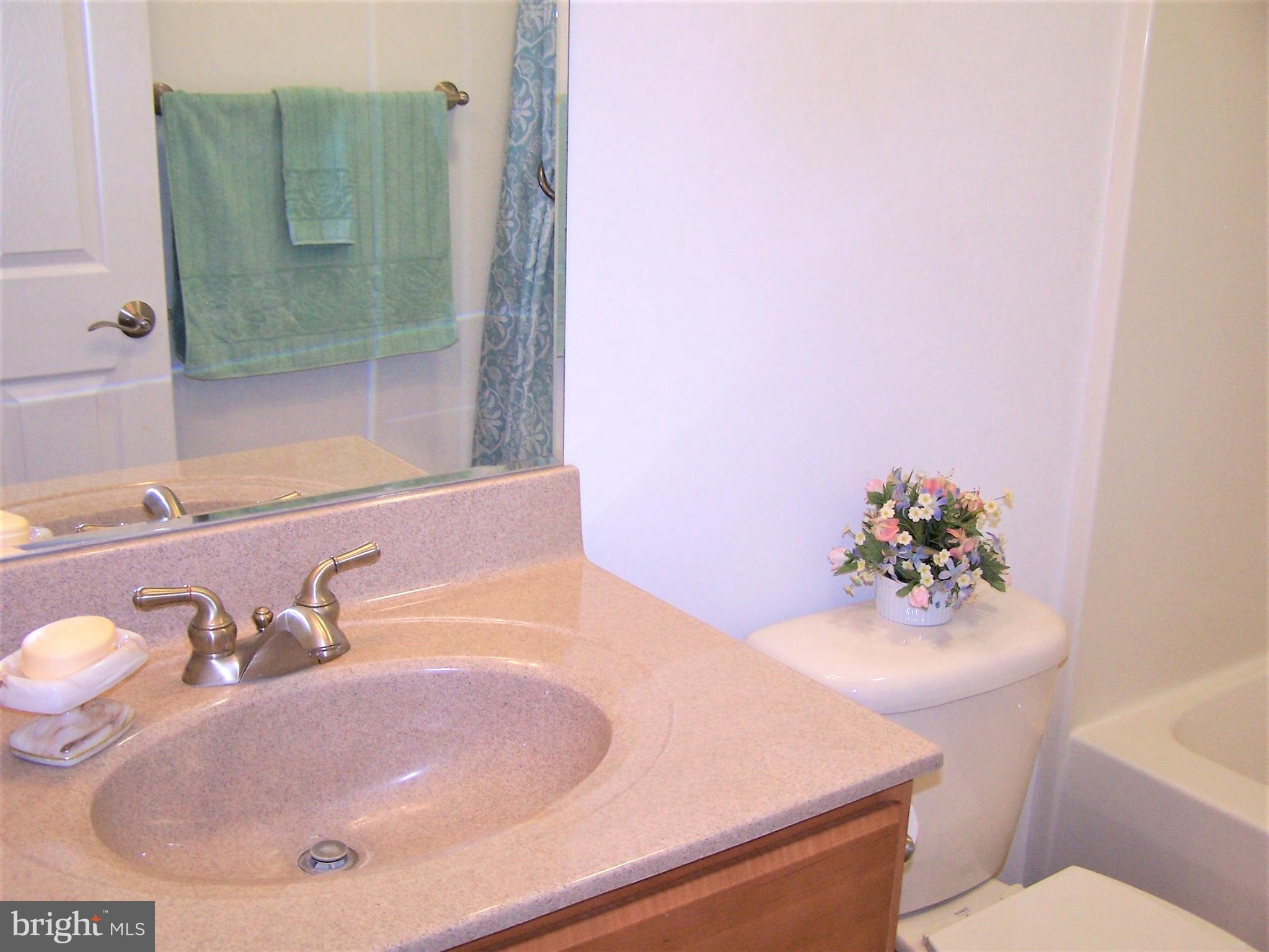 193 Clamshell Road Ocean City, MD 21842 - Photo 38 of 54 Hall Bath