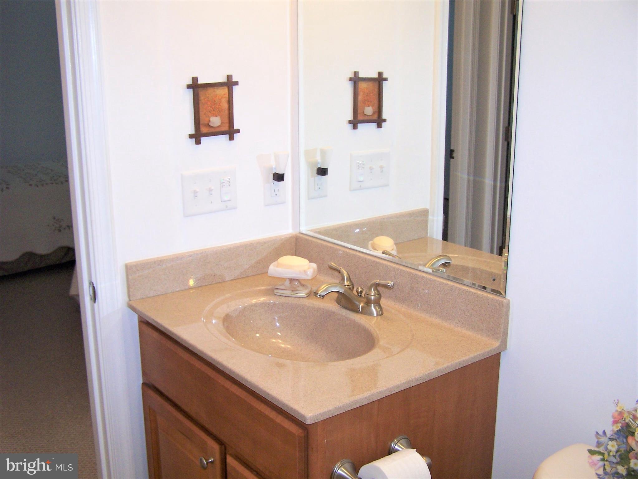 193 Clamshell Road Ocean City, MD 21842 - Photo 39 of 54 Hall Bath Vanity