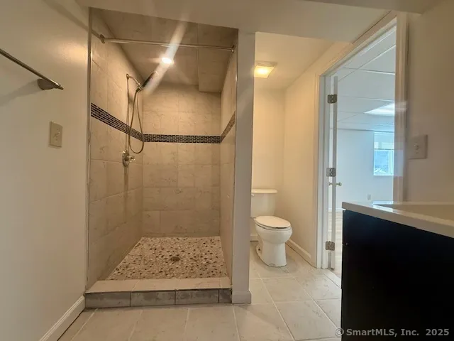 a bathroom with a shower and a toilet
