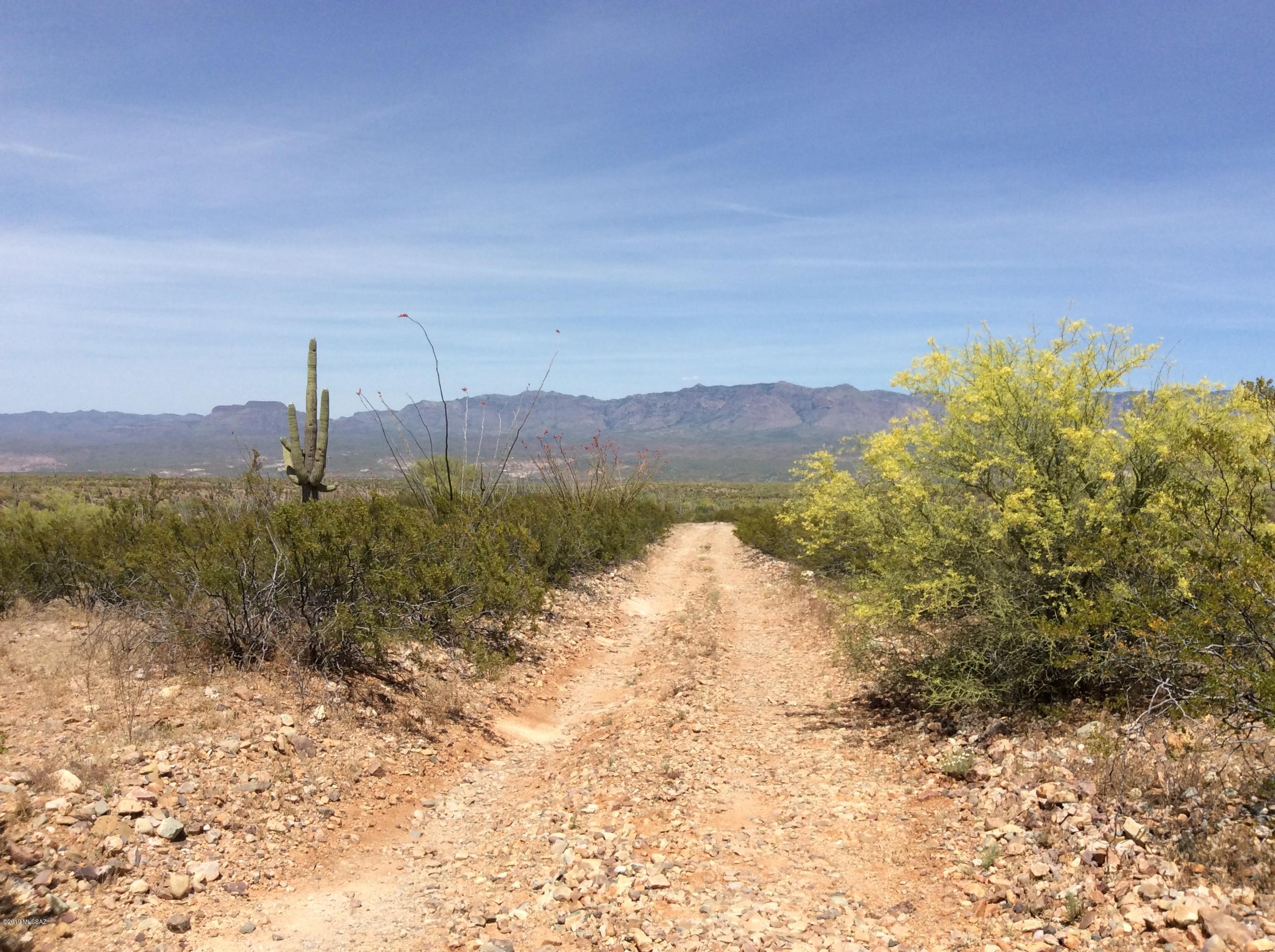 Peppersauce Mine Road San Manuel, AZ 85631 - Photo 25 of 33