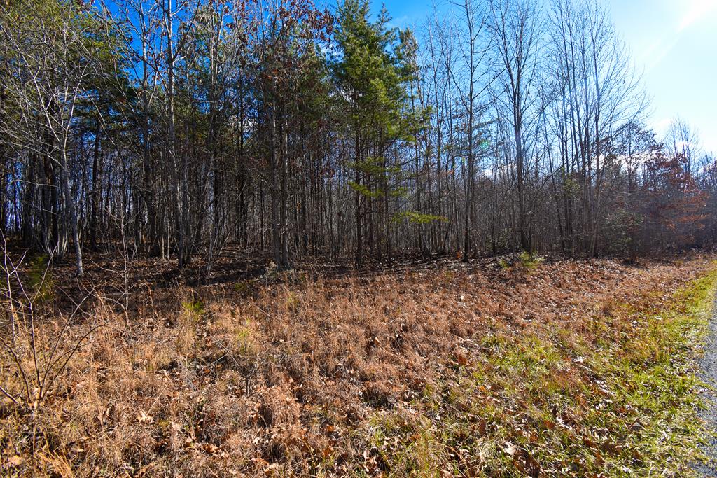 Holiday Lake Road Prospect, VA 23960 - Photo 1 of 3 Gallery Image 1