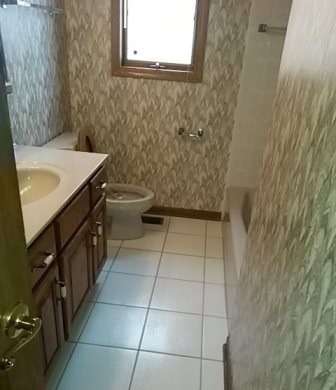 20206 Mohawk Trail Olympia Fields, IL 60461 - Photo 6 of 15 a bathroom with a sink a toilet and a mirror