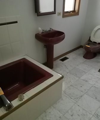 20206 Mohawk Trail Olympia Fields, IL 60461 - Photo 8 of 15 a close view of sink and tap
