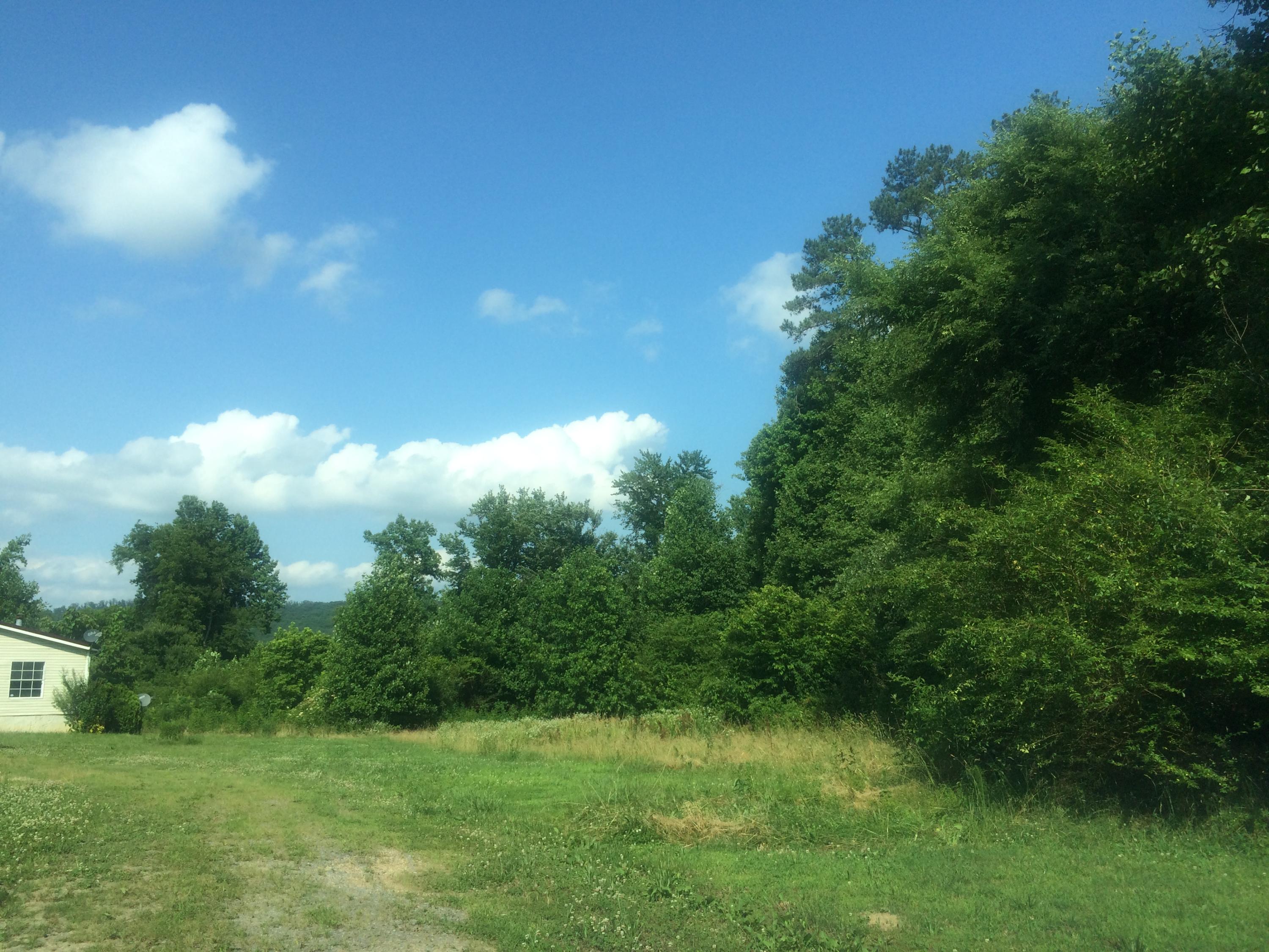 5005 Houston Valley Road Ringgold, GA 30736 - Photo 2 of 4 IMG_1253