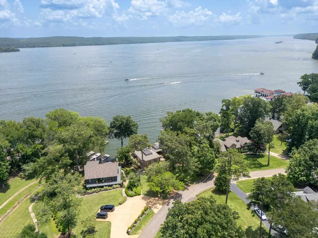 a view of a yard with plants and a bench