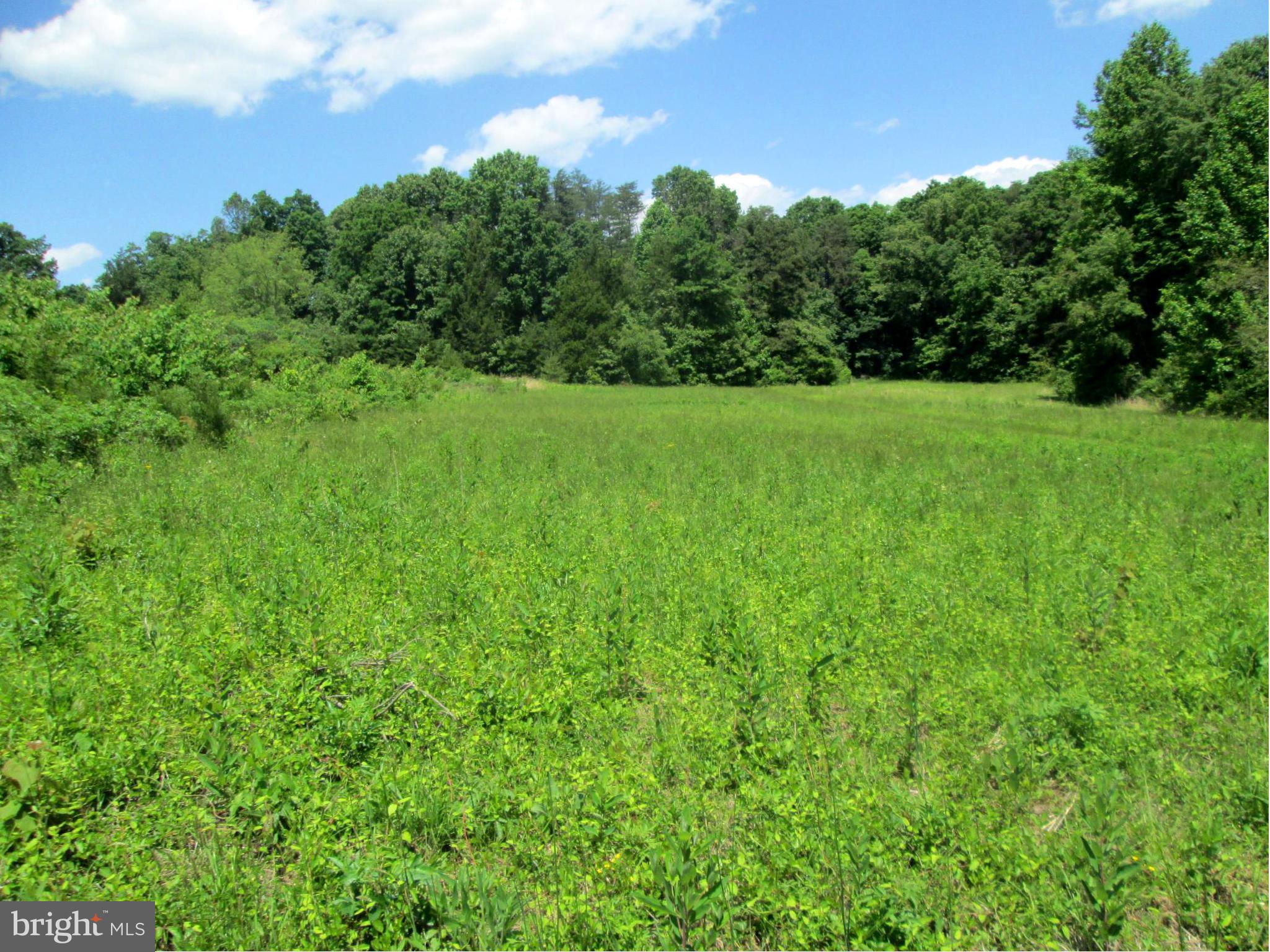 31440 Old Plank Road Locust Grove, VA 22508 - Photo 12 of 30 View of rolling land!!
