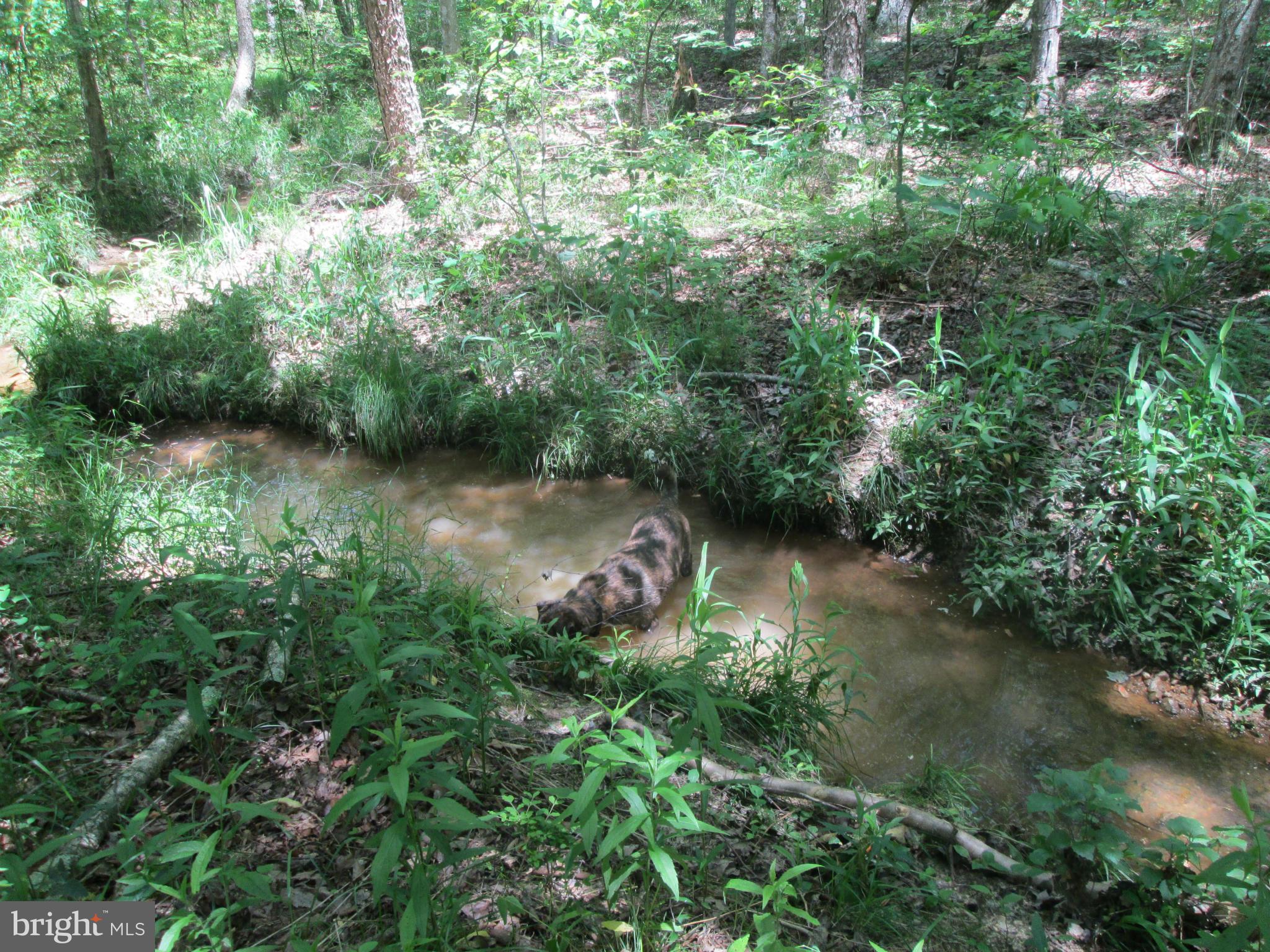 31440 Old Plank Road Locust Grove, VA 22508 - Photo 20 of 30 View of creek