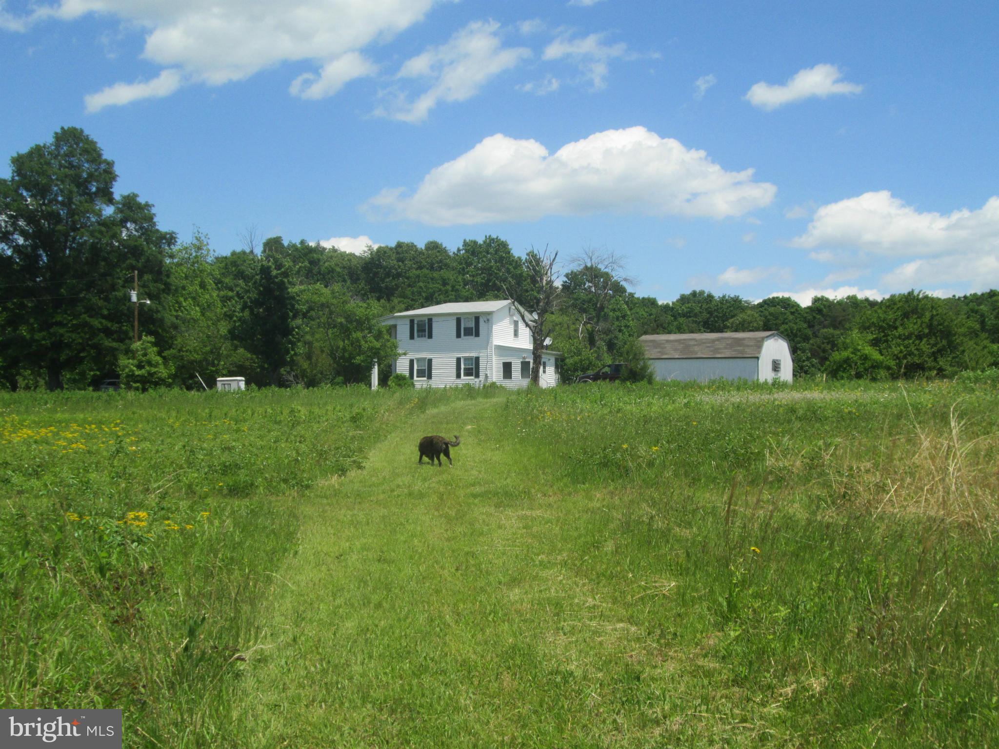 31440 Old Plank Road Locust Grove, VA 22508 - Photo 27 of 30 View coming toward house from pond side