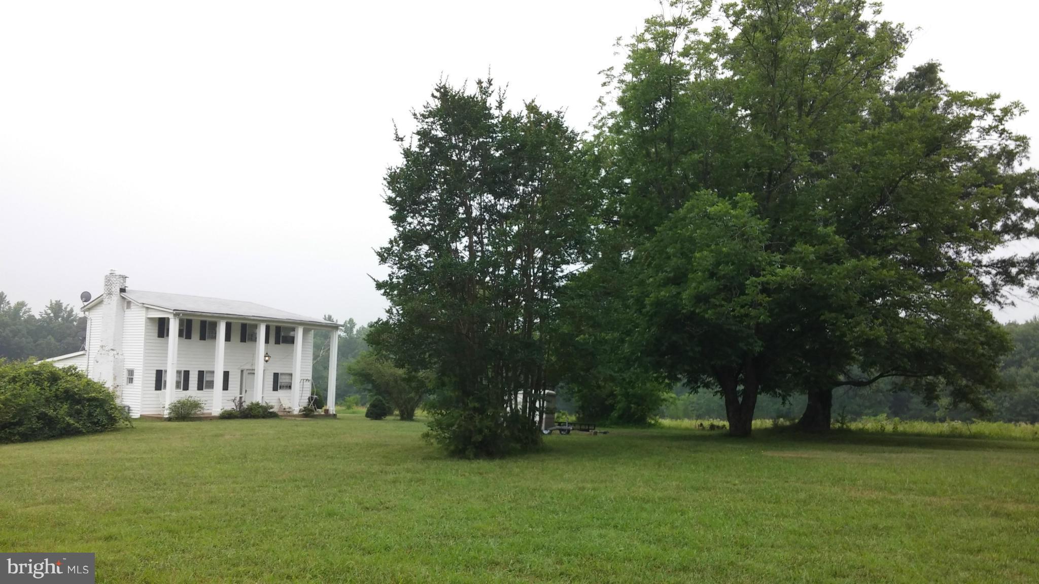 31440 Old Plank Road Locust Grove, VA 22508 - Photo 29 of 30 View of front yard-old orchard-Pecan Trees