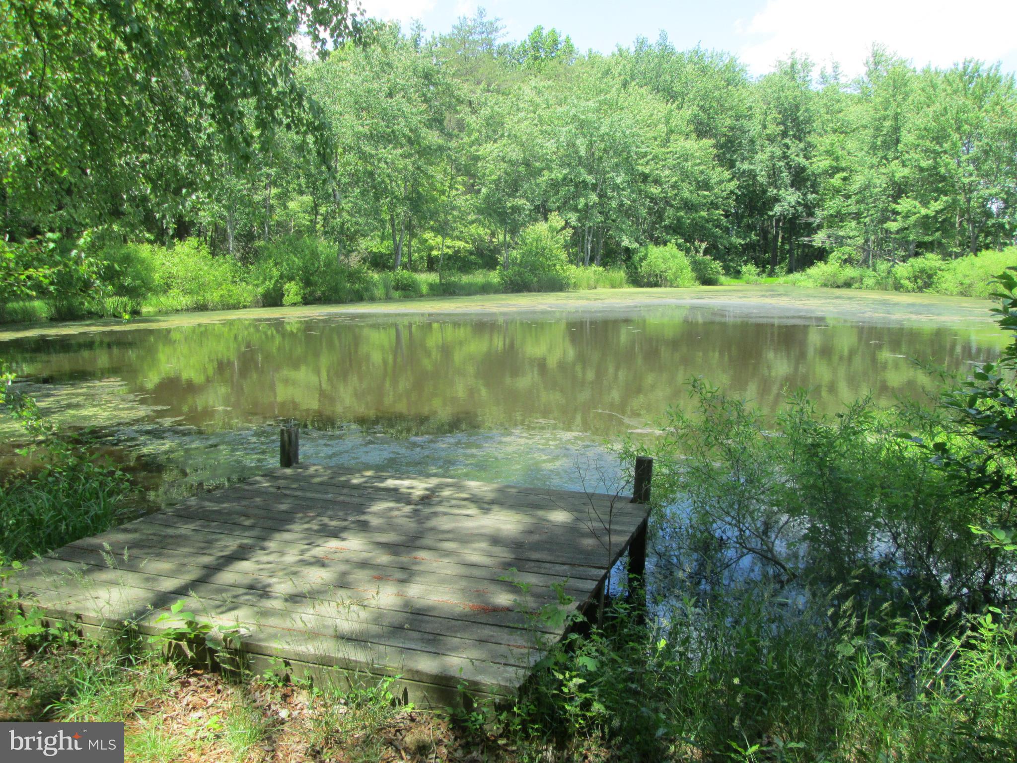 31440 Old Plank Road Locust Grove, VA 22508 - Photo 3 of 30 View of the dock & pond