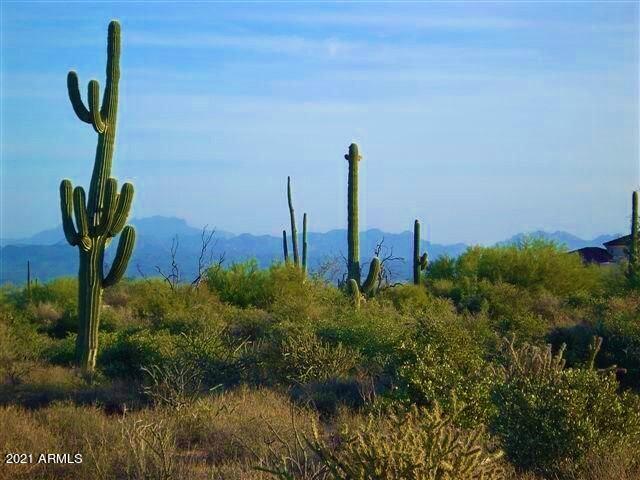 1704 East Maya Way Rio Verde, AZ 85263 - Photo 4 of 21 Superstition Mts.